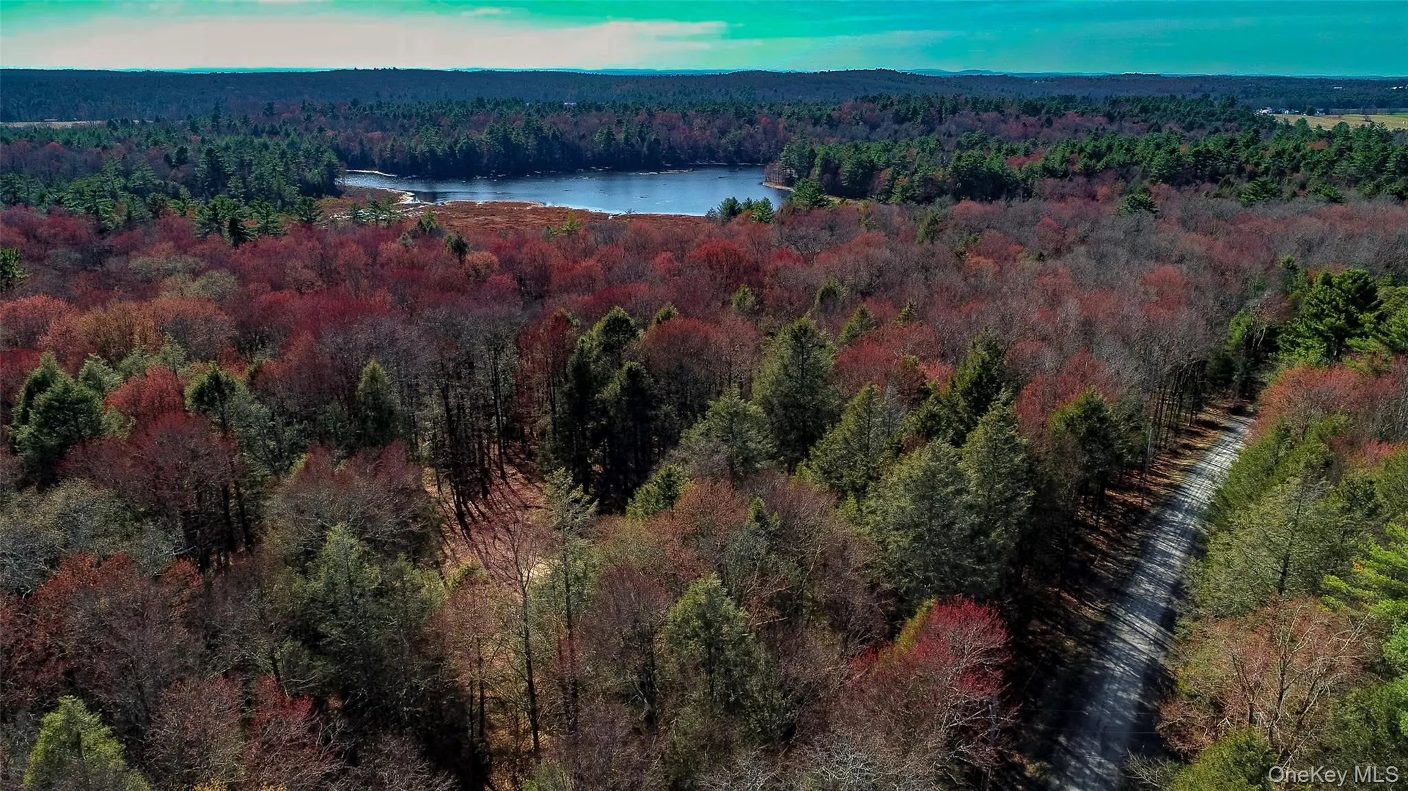 Lot 2 Deer Meadow Road, Bethel, NY, ,Land,For Rent,Deer Meadow,0,984392 Lot 2 Deer Meadow Road, Bethel, NY, ,Land,For Rent,Deer Meadow,0,984392