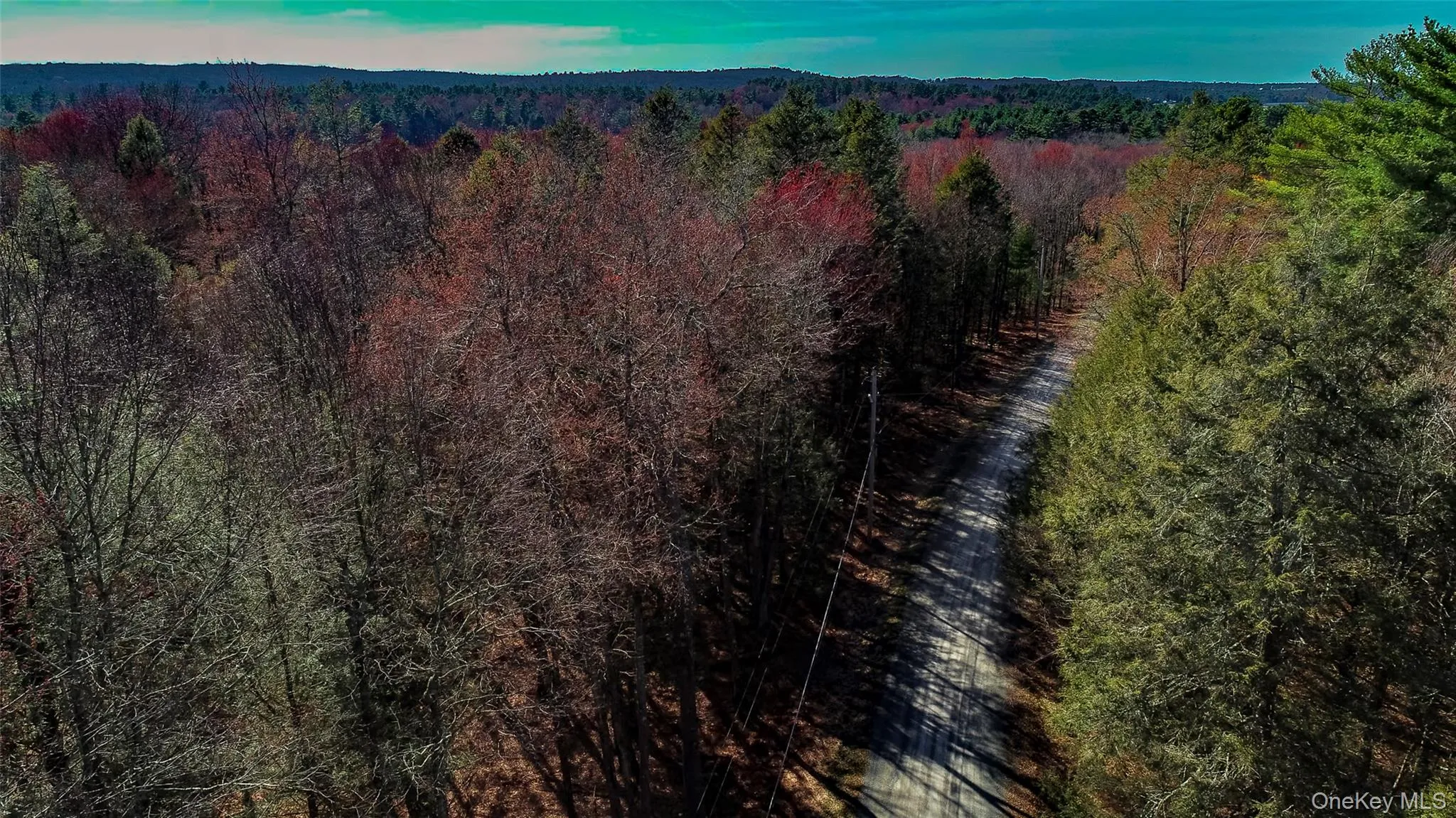 Lot 2 Deer Meadow Road, Bethel, NY, ,Land,For Rent,Deer Meadow,0,984392 Lot 2 Deer Meadow Road, Bethel, NY, ,Land,For Rent,Deer Meadow,0,984392