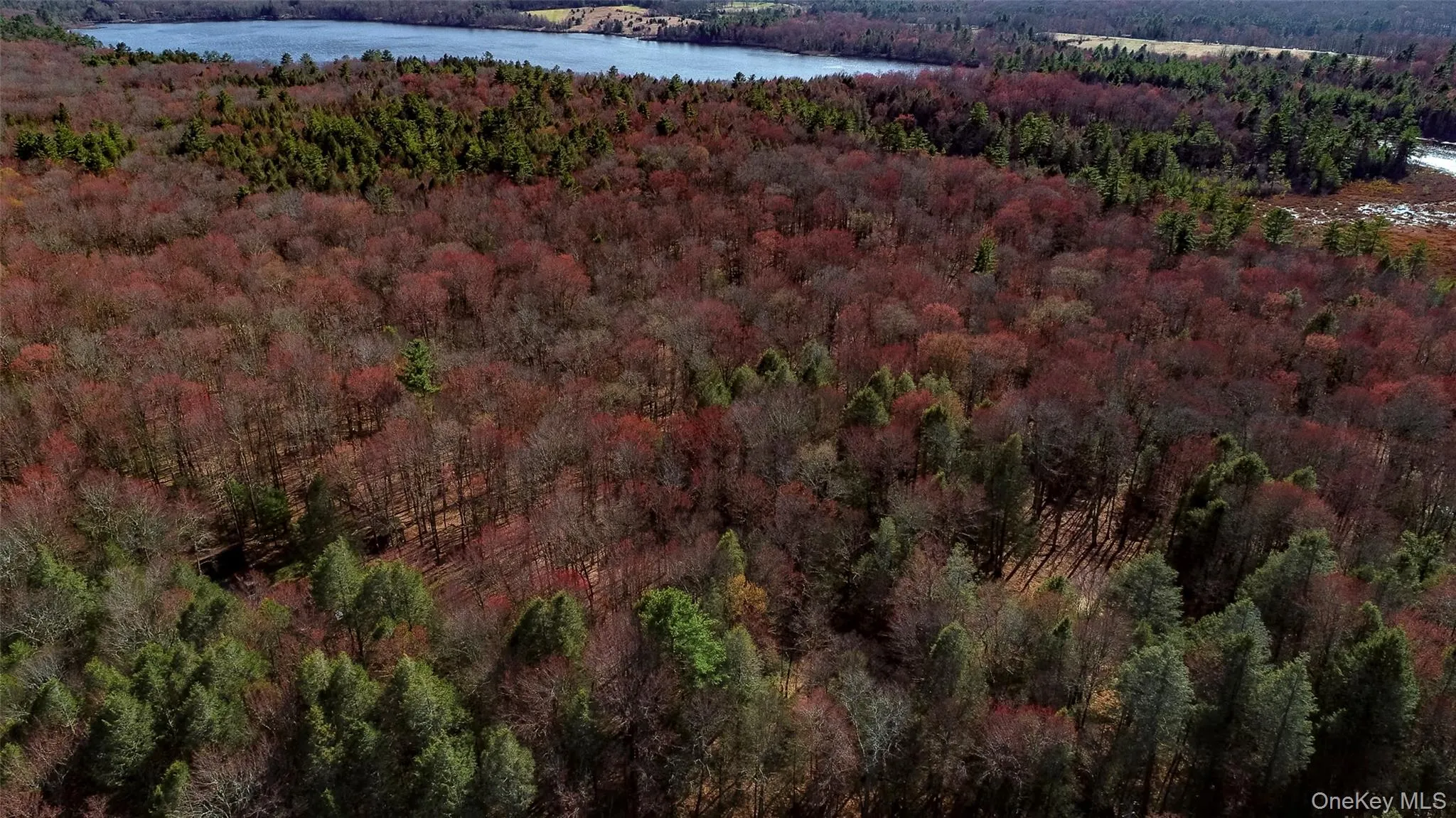 Lot 2 Deer Meadow Road, Bethel, NY, ,Land,For Rent,Deer Meadow,0,984392 Lot 2 Deer Meadow Road, Bethel, NY, ,Land,For Rent,Deer Meadow,0,984392