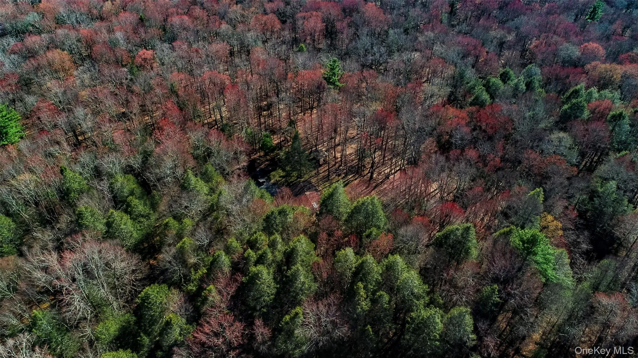 Lot 2 Deer Meadow Road, Bethel, NY, ,Land,For Rent,Deer Meadow,0,984392 Lot 2 Deer Meadow Road, Bethel, NY, ,Land,For Rent,Deer Meadow,0,984392