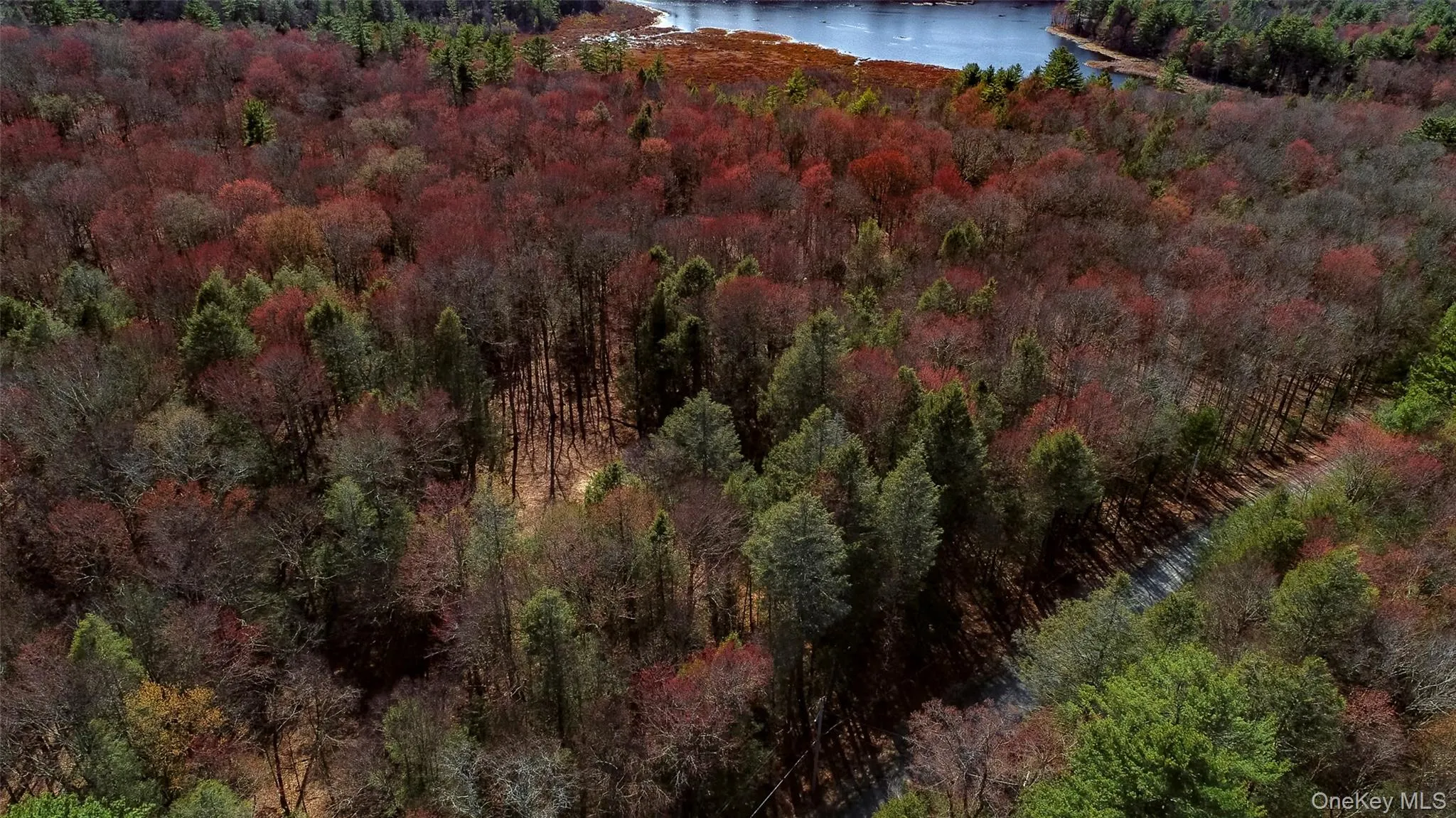 Lot 2 Deer Meadow Road, Bethel, NY, ,Land,For Rent,Deer Meadow,0,984392 Lot 2 Deer Meadow Road, Bethel, NY, ,Land,For Rent,Deer Meadow,0,984392