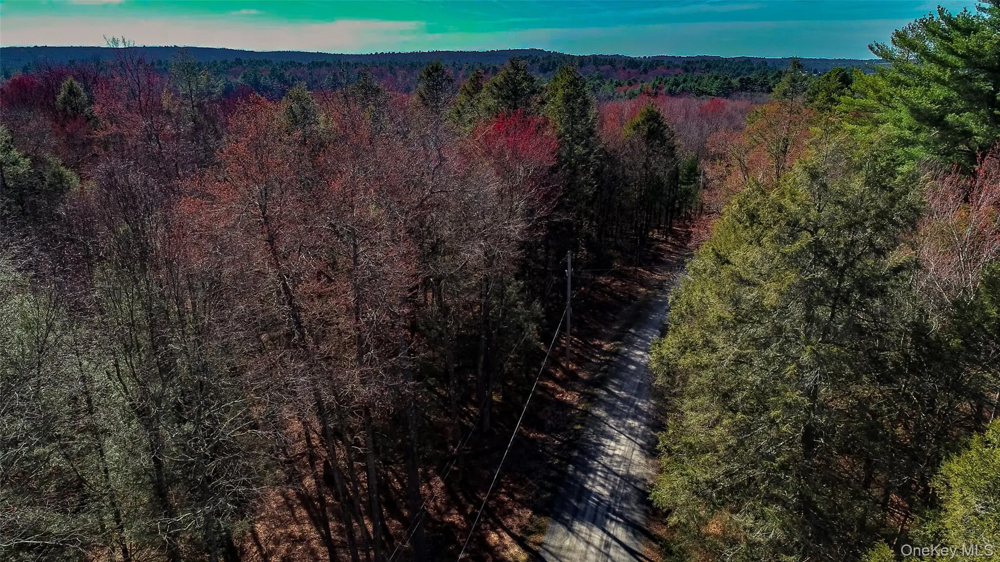 Lot 2 Deer Meadow Road, Bethel, NY, ,Land,For Rent,Deer Meadow,0,984392 Lot 2 Deer Meadow Road, Bethel, NY, ,Land,For Rent,Deer Meadow,0,984392