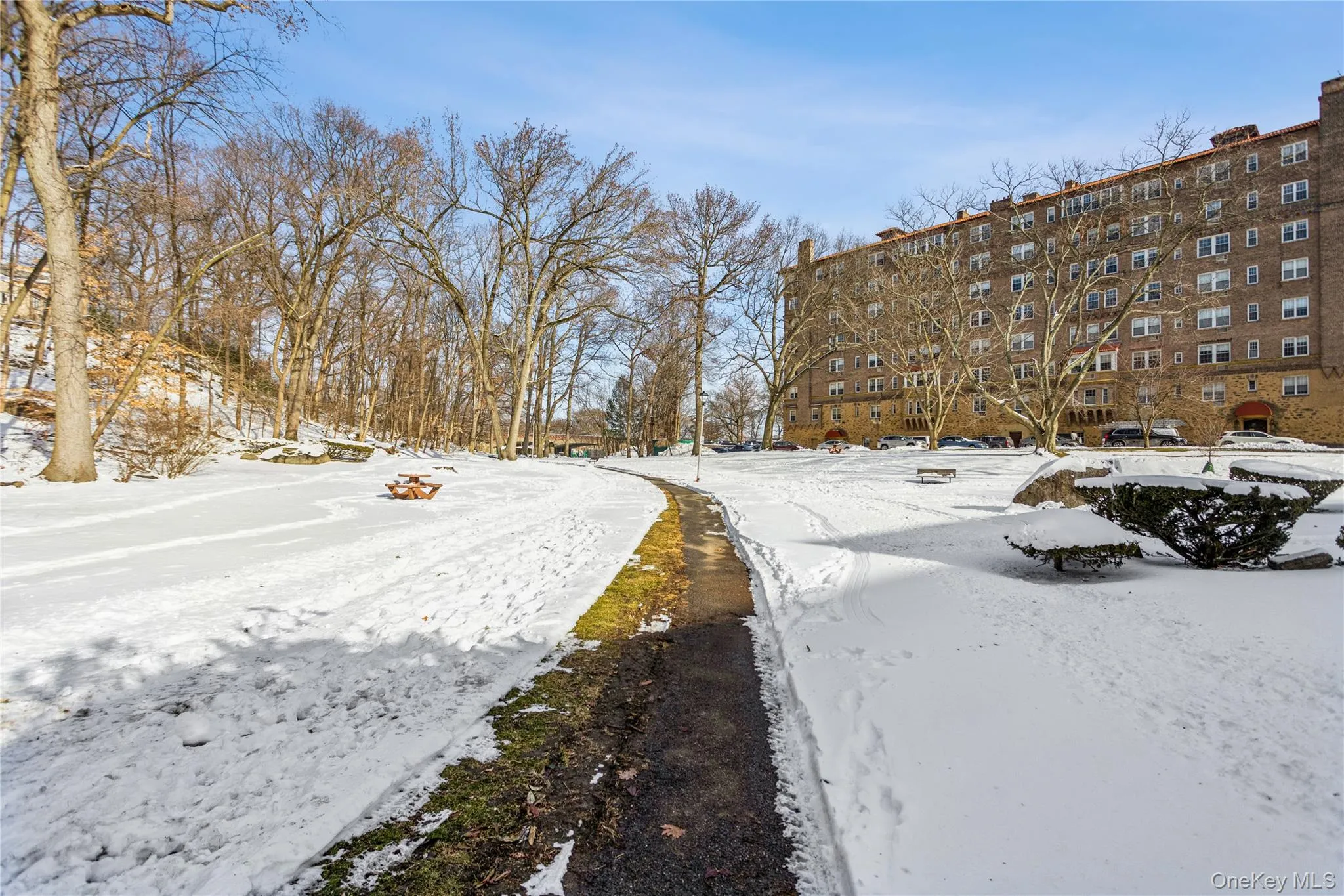 Winter stroll through the quite park directly across the street Winter stroll through the quite park directly across the street