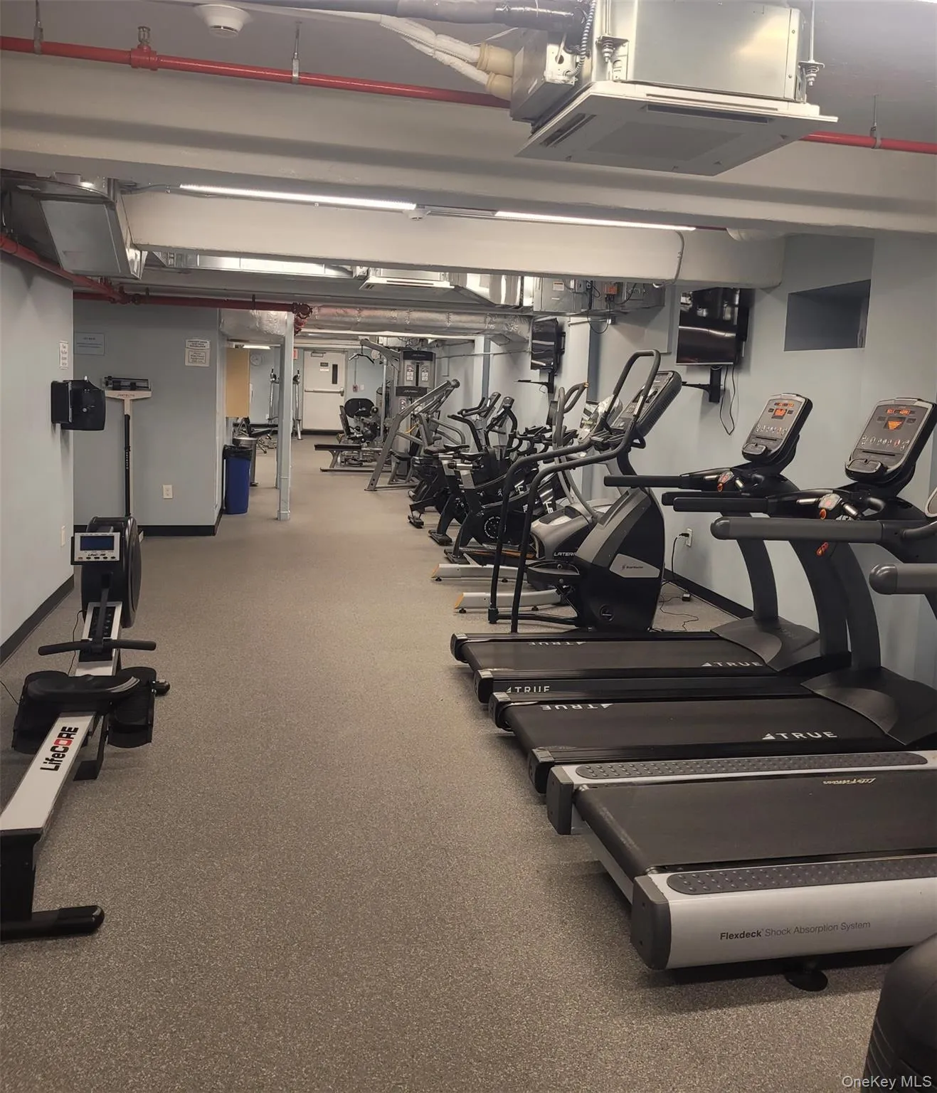 Work out Area #1 Work out Area #1