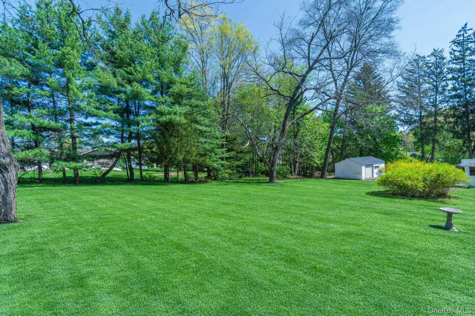 Large level backyard. AI enhanced Large level backyard. AI enhanced