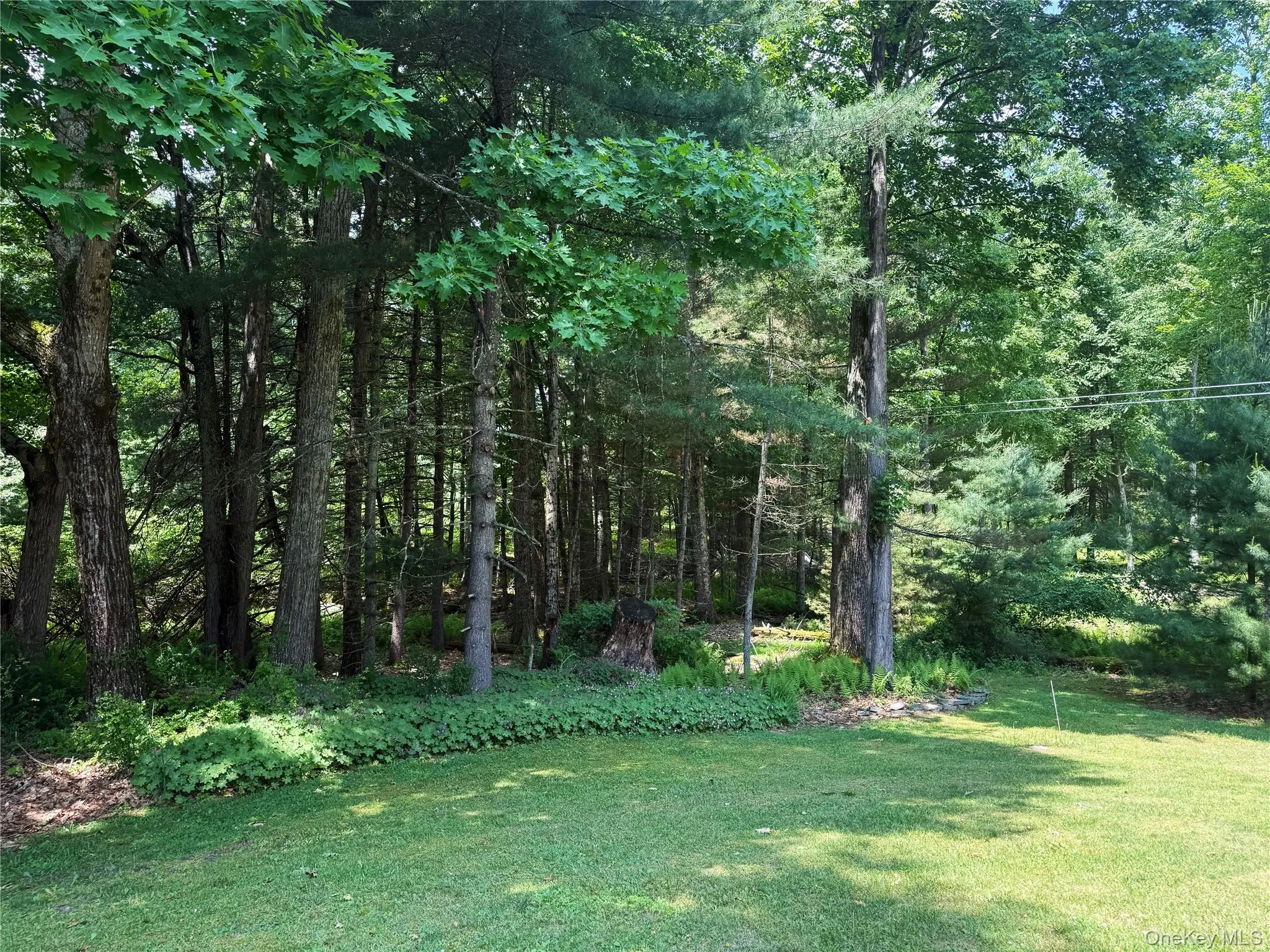 1222 Sackett Lake Road, Forestburgh, NY, 3 Bedrooms Bedrooms, 6 Rooms Rooms,1 BathroomBathrooms,Residential,For Rent,Sackett Lake,0,984523 1222 Sackett Lake Road, Forestburgh, NY, 3 Bedrooms Bedrooms, 6 Rooms Rooms,1 BathroomBathrooms,Residential,For Rent,Sackett Lake,0,984523