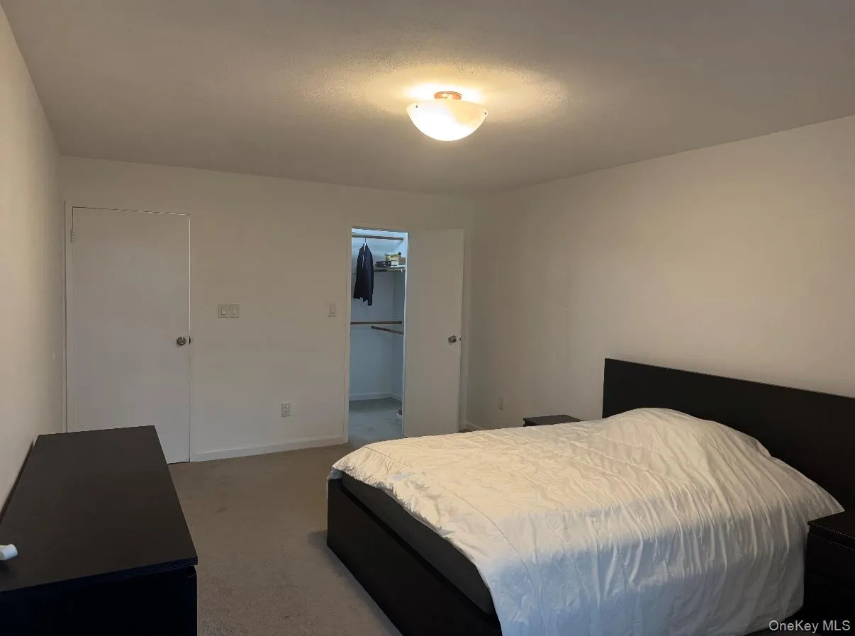 Carpeted bedroom featuring a spacious closet and baseboards Carpeted bedroom featuring a spacious closet and baseboards