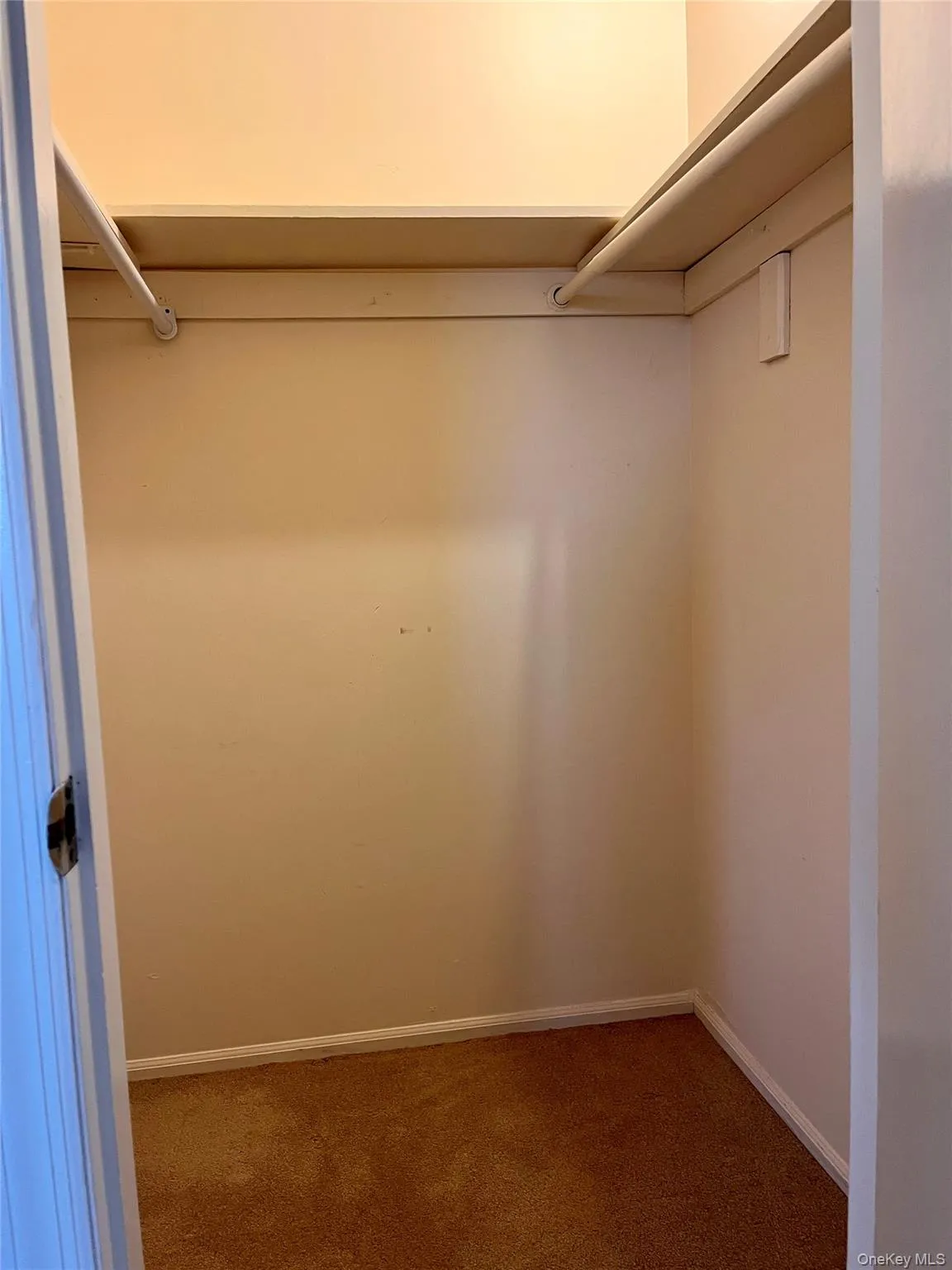 Primary room Primary room