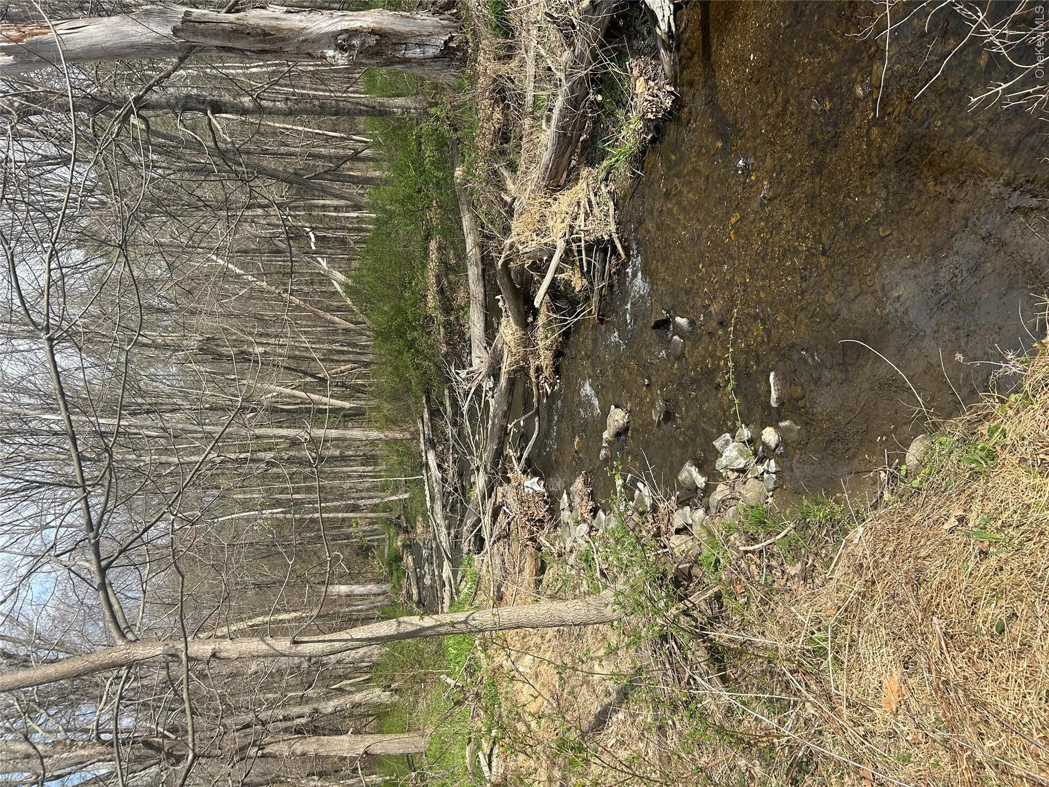 Jackson Creek in the 2/3 back of the property Jackson Creek in the 2/3 back of the property