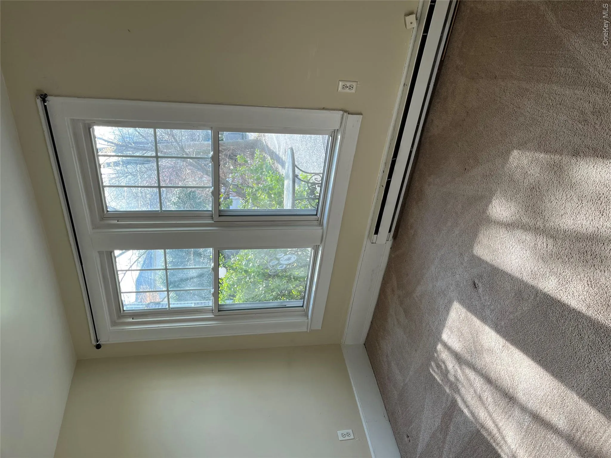 3 Daniel Place, Oyster Bay, NY, 1 Bedroom Bedrooms, 3 Rooms Rooms,1 BathroomBathrooms,Residential Lease,For Rent,Daniel,0,984683 3 Daniel Place, Oyster Bay, NY, 1 Bedroom Bedrooms, 3 Rooms Rooms,1 BathroomBathrooms,Residential Lease,For Rent,Daniel,0,984683