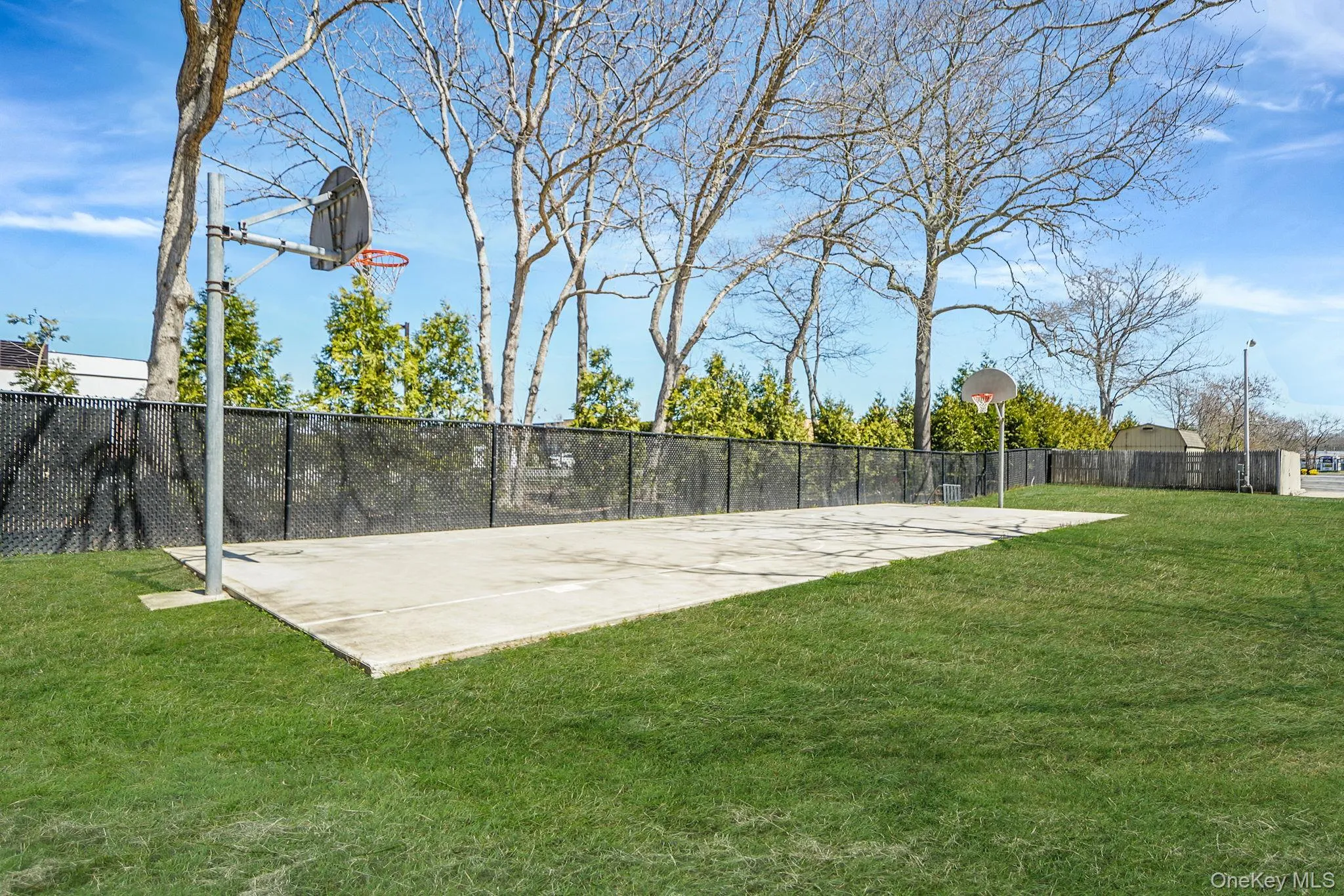 Basketball Court Basketball Court