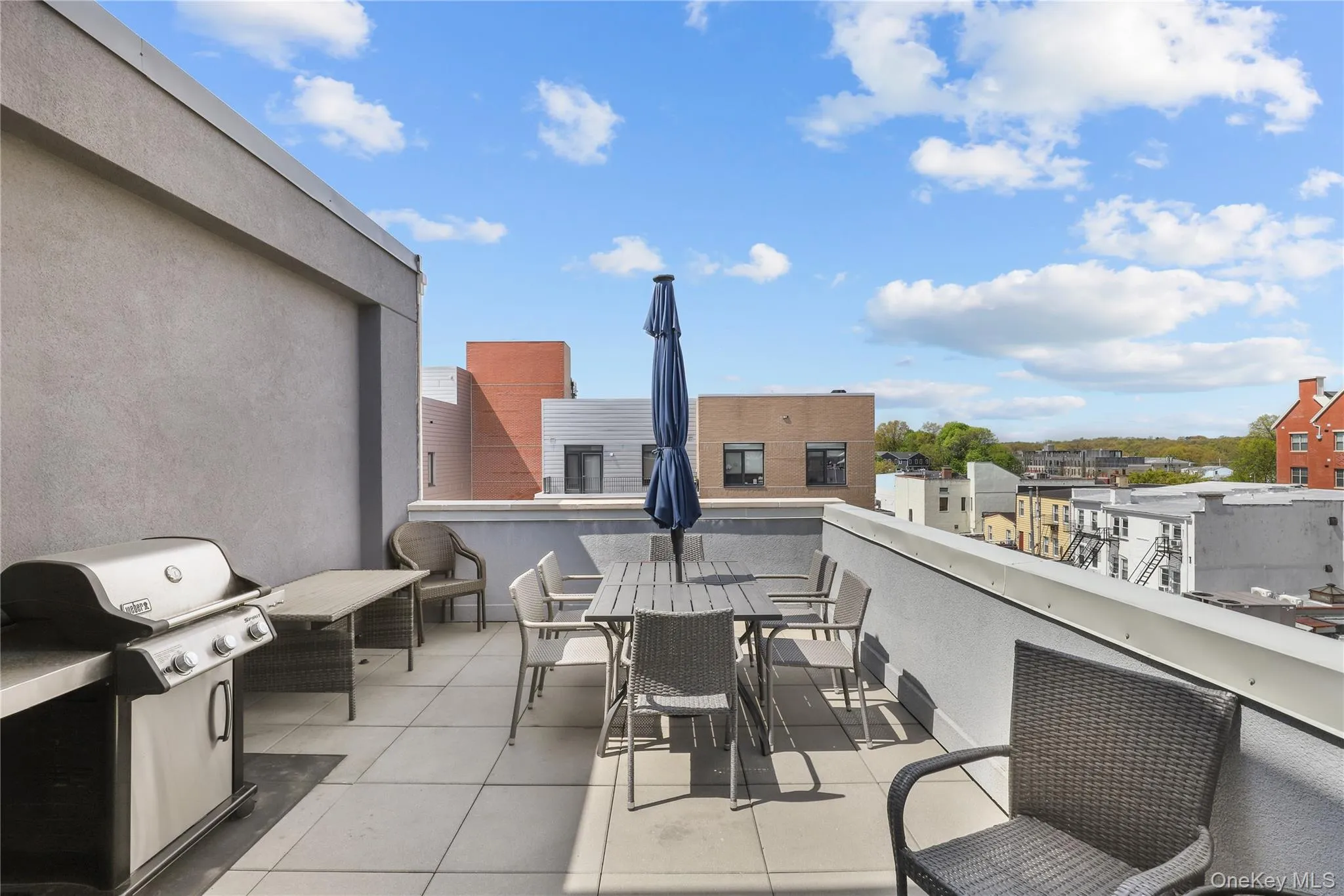 Rooftop Terrace for BBQs Rooftop Terrace for BBQs