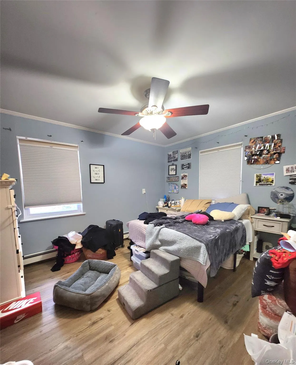 244 Martin Drive, Oyster Bay, NY, 4 Bedrooms Bedrooms, 11 Rooms Rooms,2 BathroomsBathrooms,Residential Lease,For Rent,Martin,0,984759 244 Martin Drive, Oyster Bay, NY, 4 Bedrooms Bedrooms, 11 Rooms Rooms,2 BathroomsBathrooms,Residential Lease,For Rent,Martin,0,984759