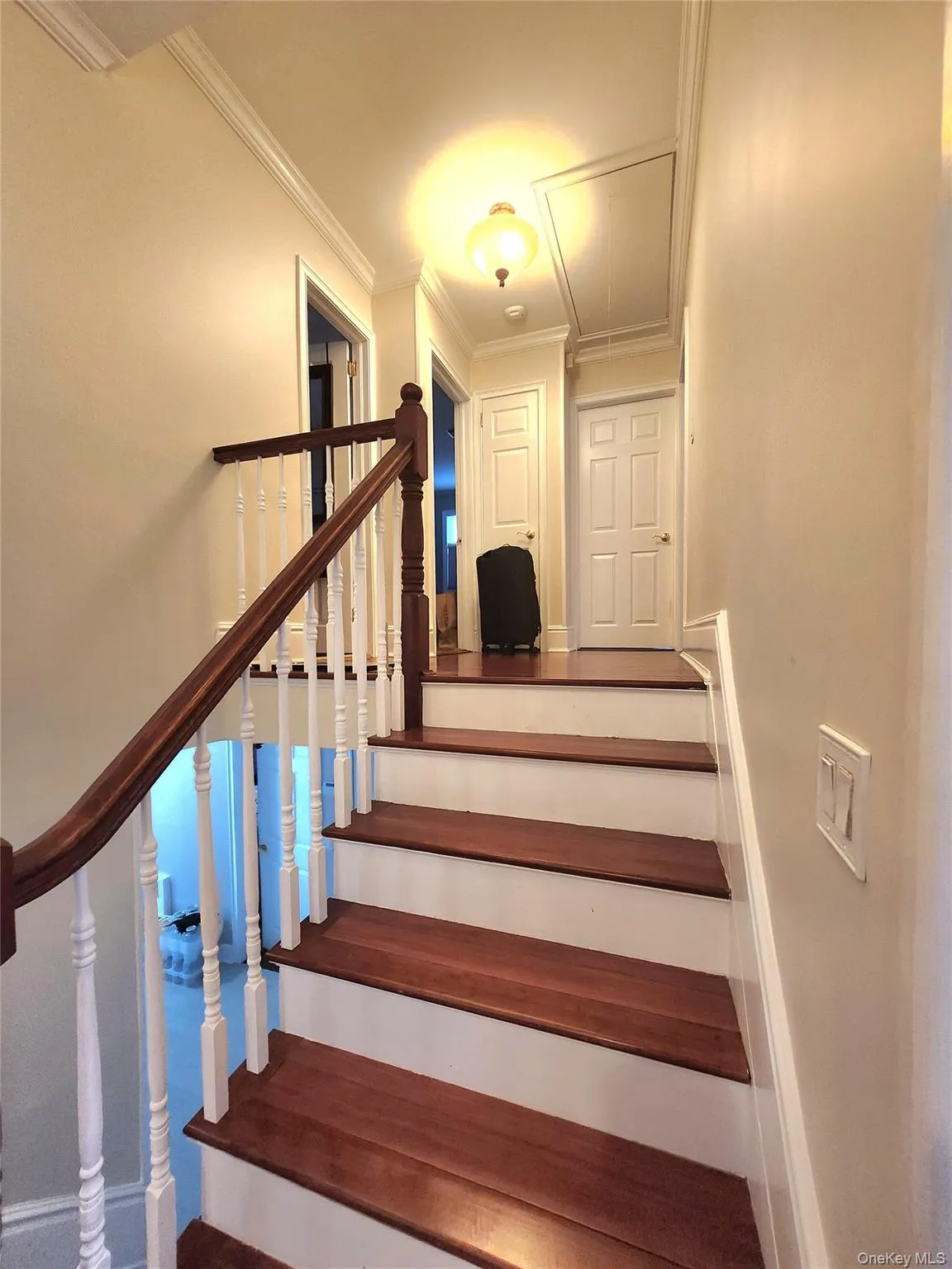 244 Martin Drive, Oyster Bay, NY, 4 Bedrooms Bedrooms, 11 Rooms Rooms,2 BathroomsBathrooms,Residential Lease,For Rent,Martin,0,984759 244 Martin Drive, Oyster Bay, NY, 4 Bedrooms Bedrooms, 11 Rooms Rooms,2 BathroomsBathrooms,Residential Lease,For Rent,Martin,0,984759