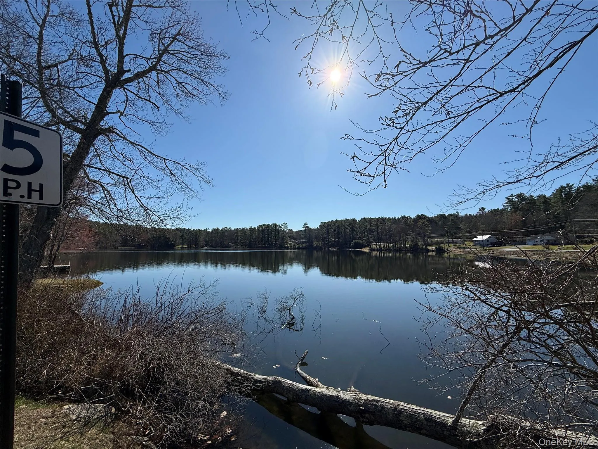 Bodine Lake Bodine Lake