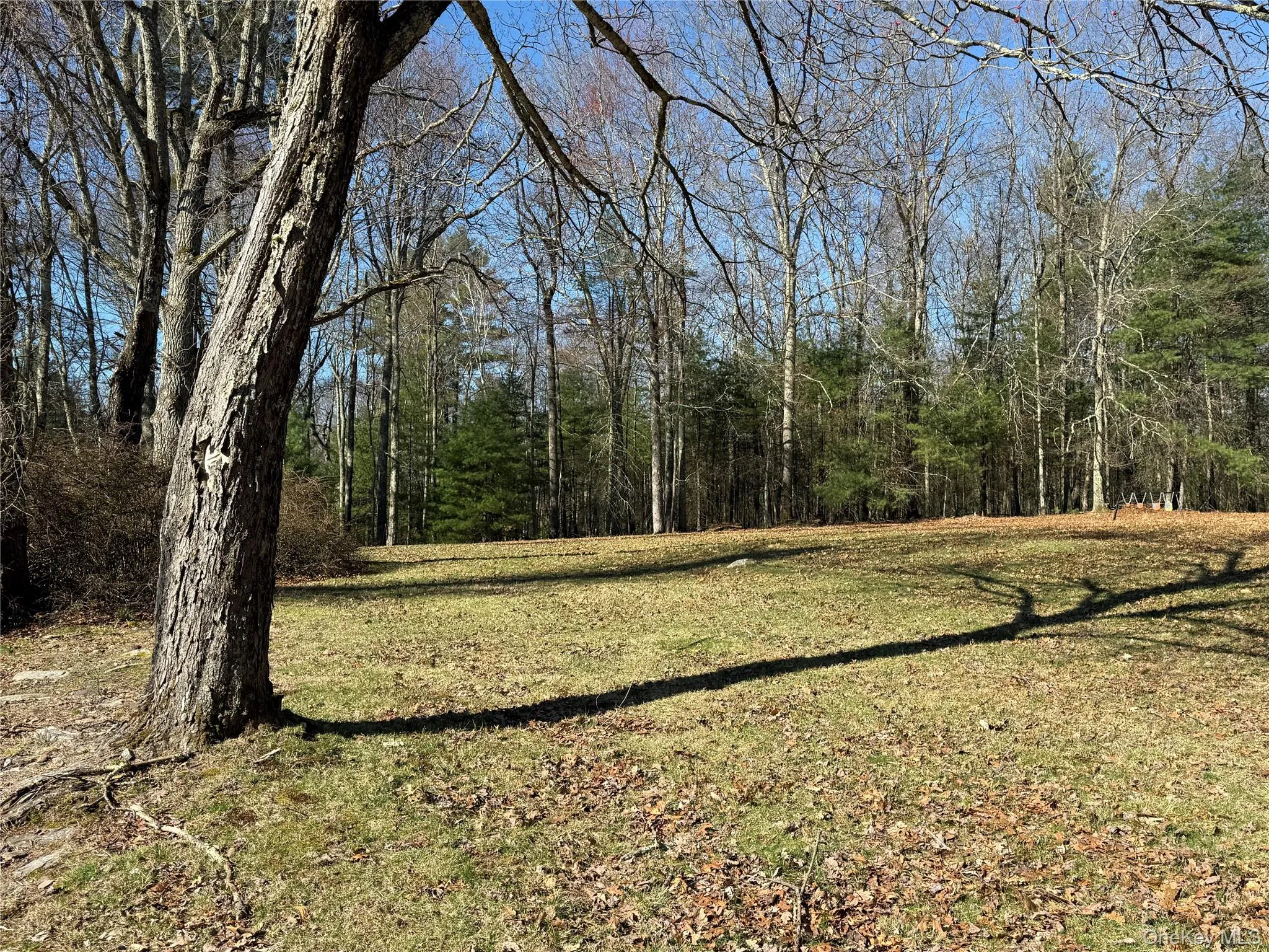 110 Eldred Yulan Road, Highland, NY, 4 Bedrooms Bedrooms, 9 Rooms Rooms,2 BathroomsBathrooms,Residential,For Rent,Eldred Yulan,0,984770 110 Eldred Yulan Road, Highland, NY, 4 Bedrooms Bedrooms, 9 Rooms Rooms,2 BathroomsBathrooms,Residential,For Rent,Eldred Yulan,0,984770