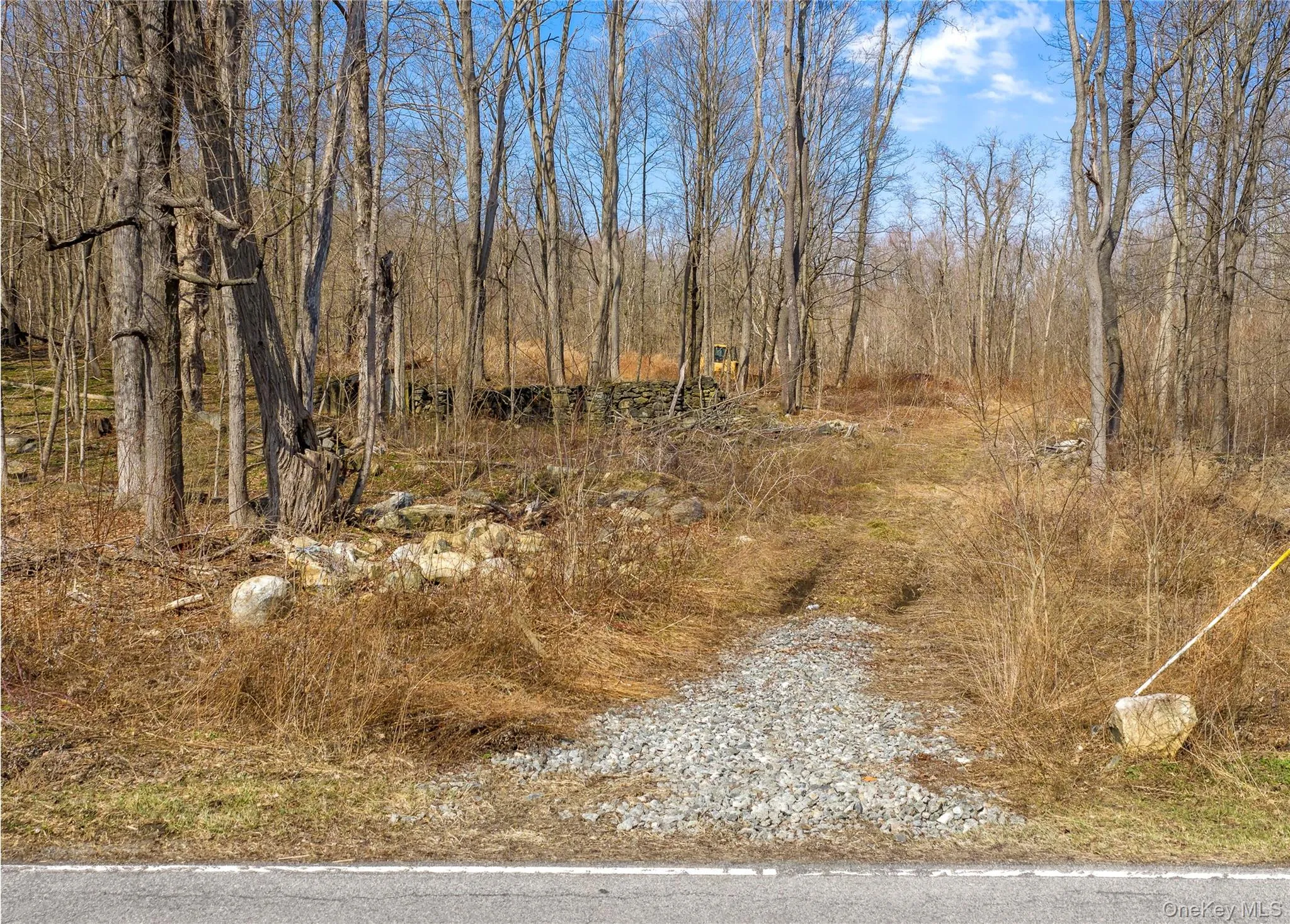 Driveway cut on Holmes Road that leads to a cleared central area. Driveway cut on Holmes Road that leads to a cleared central area.