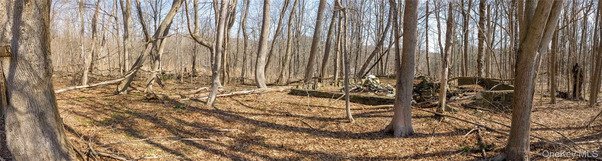Stone walls and remnants of old foundations on the property. Stone walls and remnants of old foundations on the property.