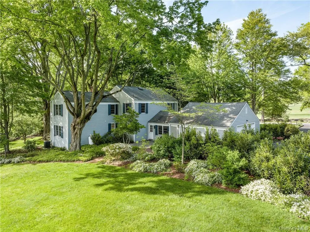 Beautiful backyard Beautiful backyard