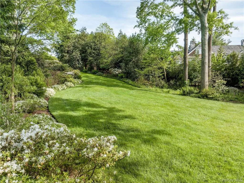 View looking at the back yard from the house View looking at the back yard from the house