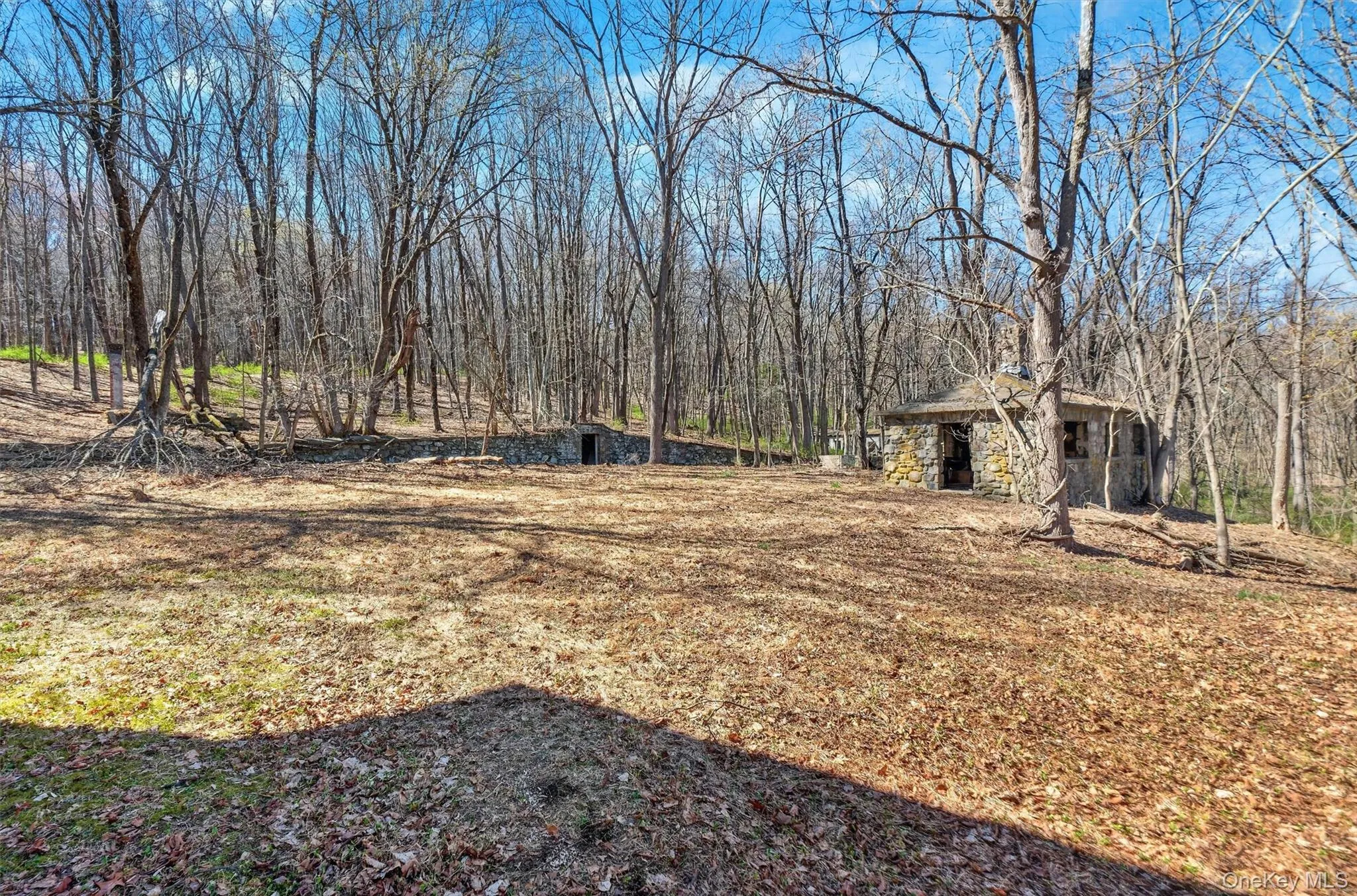 Toward wooded acreage Toward wooded acreage