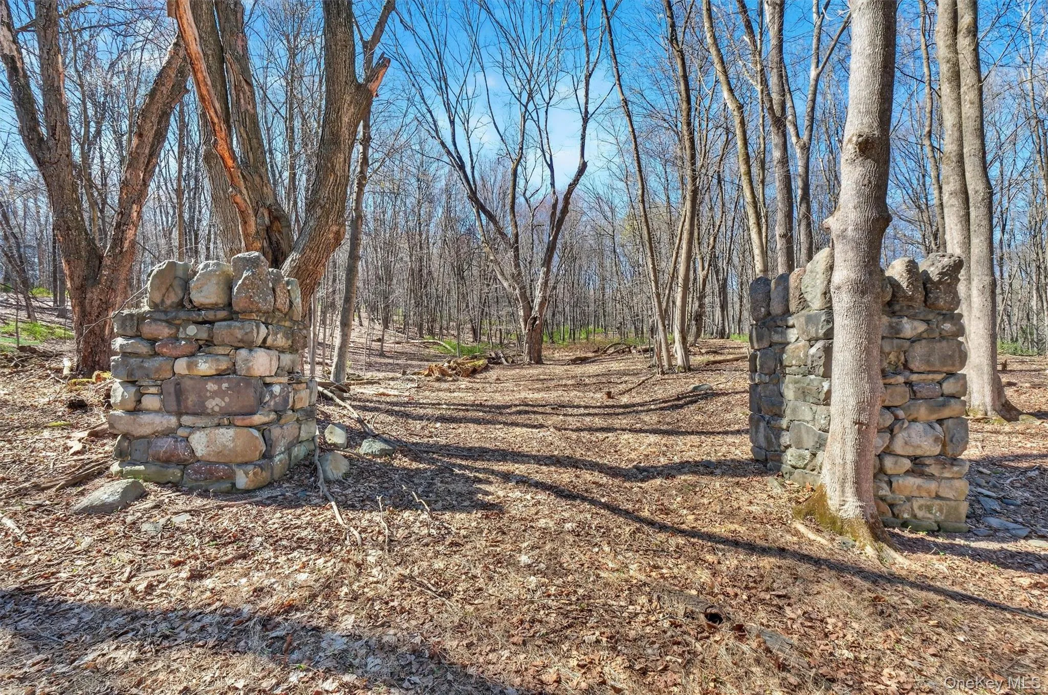 Entry into wooded acreage Entry into wooded acreage