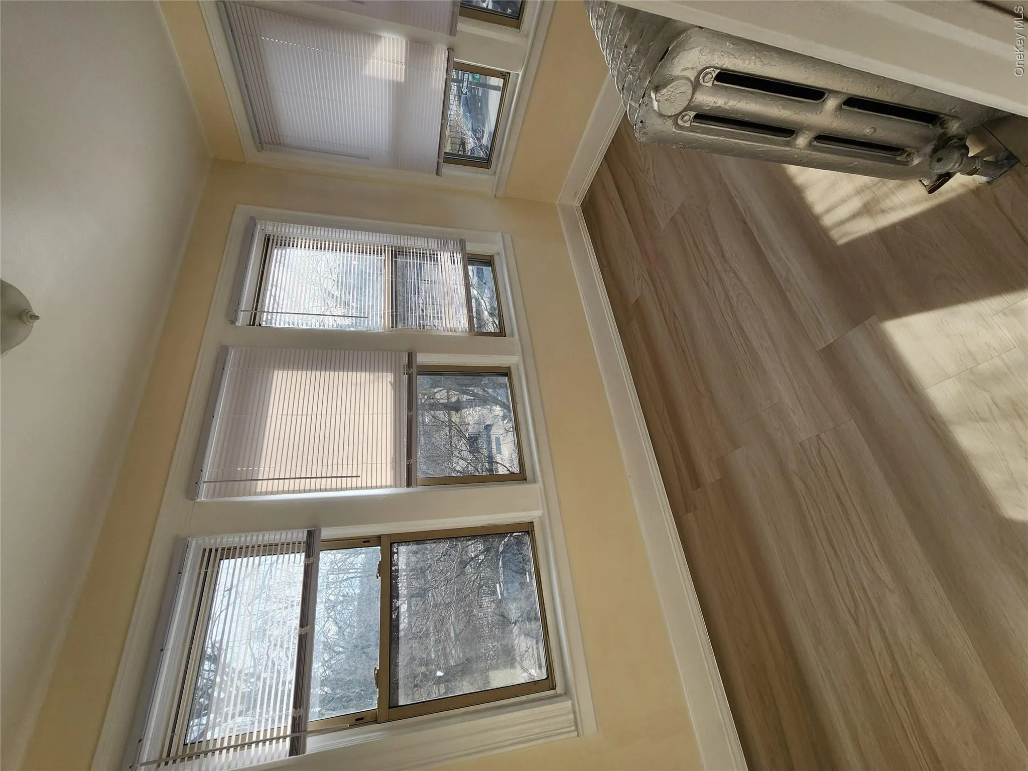 8203 Myrtle Avenue, New York, NY, 3 Bedrooms Bedrooms, 5 Rooms Rooms,1 BathroomBathrooms,Residential Lease,For Rent,Myrtle,0,984940 8203 Myrtle Avenue, New York, NY, 3 Bedrooms Bedrooms, 5 Rooms Rooms,1 BathroomBathrooms,Residential Lease,For Rent,Myrtle,0,984940