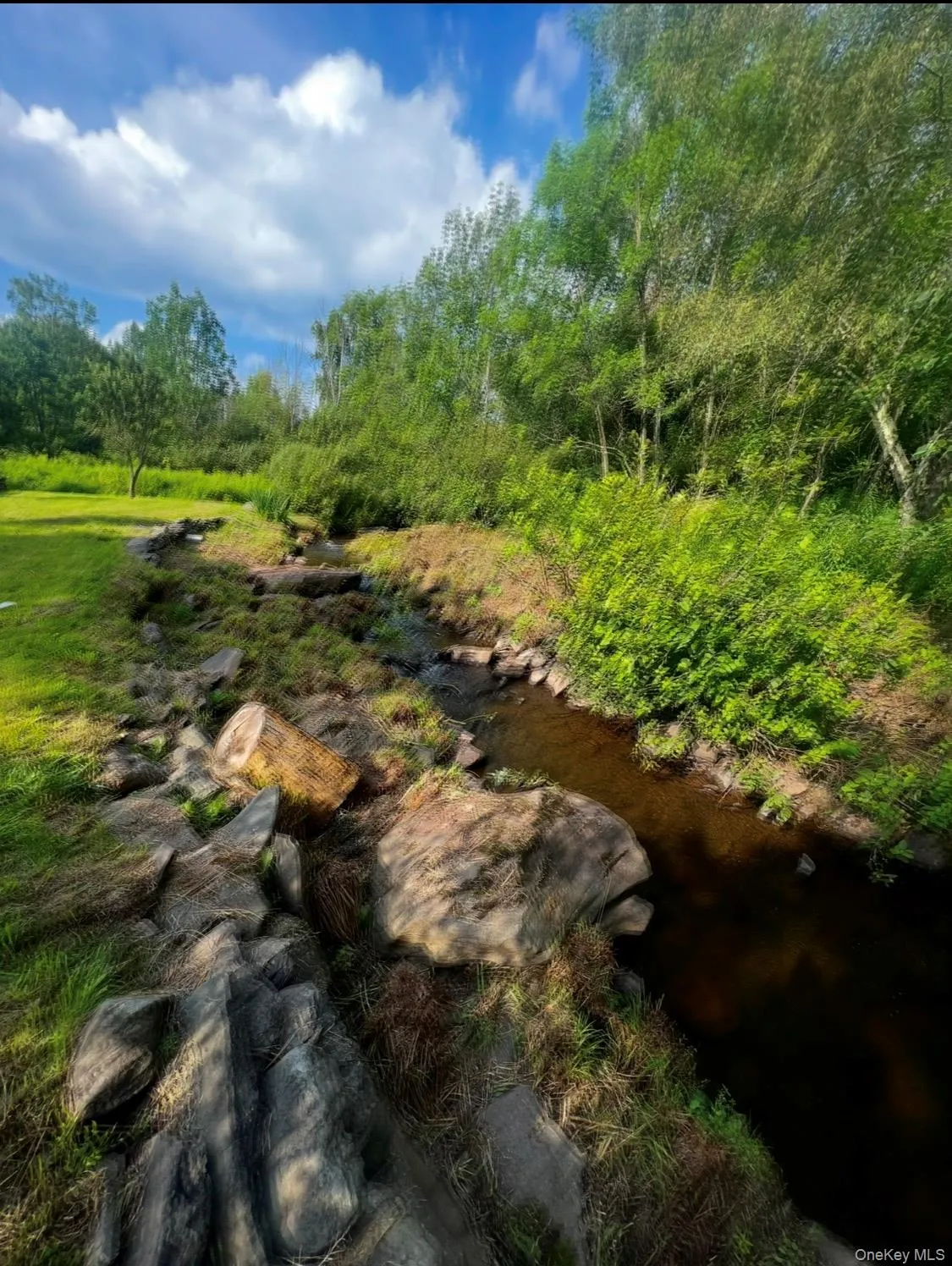 542 Mitchell Hollow Road, Windham, NY, 3 Bedrooms Bedrooms, 5 Rooms Rooms,1 BathroomBathrooms,Residential Sale,For Rent,Mitchell Hollow,0,984941 542 Mitchell Hollow Road, Windham, NY, 3 Bedrooms Bedrooms, 5 Rooms Rooms,1 BathroomBathrooms,Residential Sale,For Rent,Mitchell Hollow,0,984941