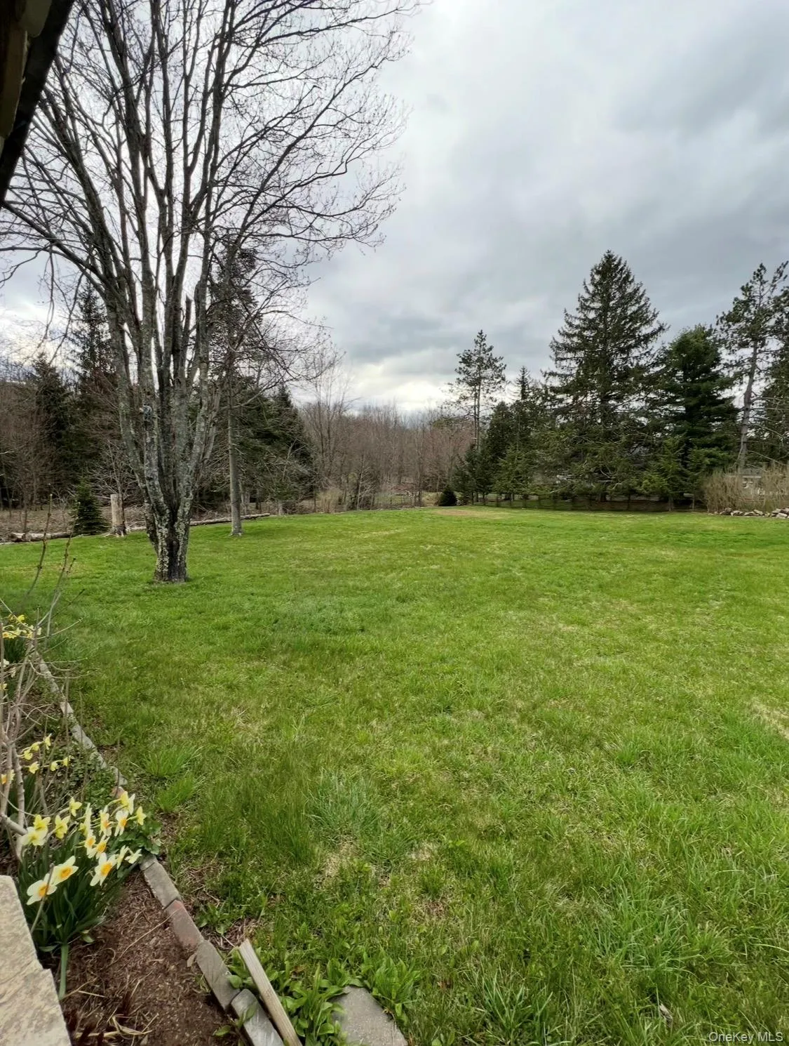 542 Mitchell Hollow Road, Windham, NY, 3 Bedrooms Bedrooms, 5 Rooms Rooms,1 BathroomBathrooms,Residential Sale,For Rent,Mitchell Hollow,0,984941 542 Mitchell Hollow Road, Windham, NY, 3 Bedrooms Bedrooms, 5 Rooms Rooms,1 BathroomBathrooms,Residential Sale,For Rent,Mitchell Hollow,0,984941