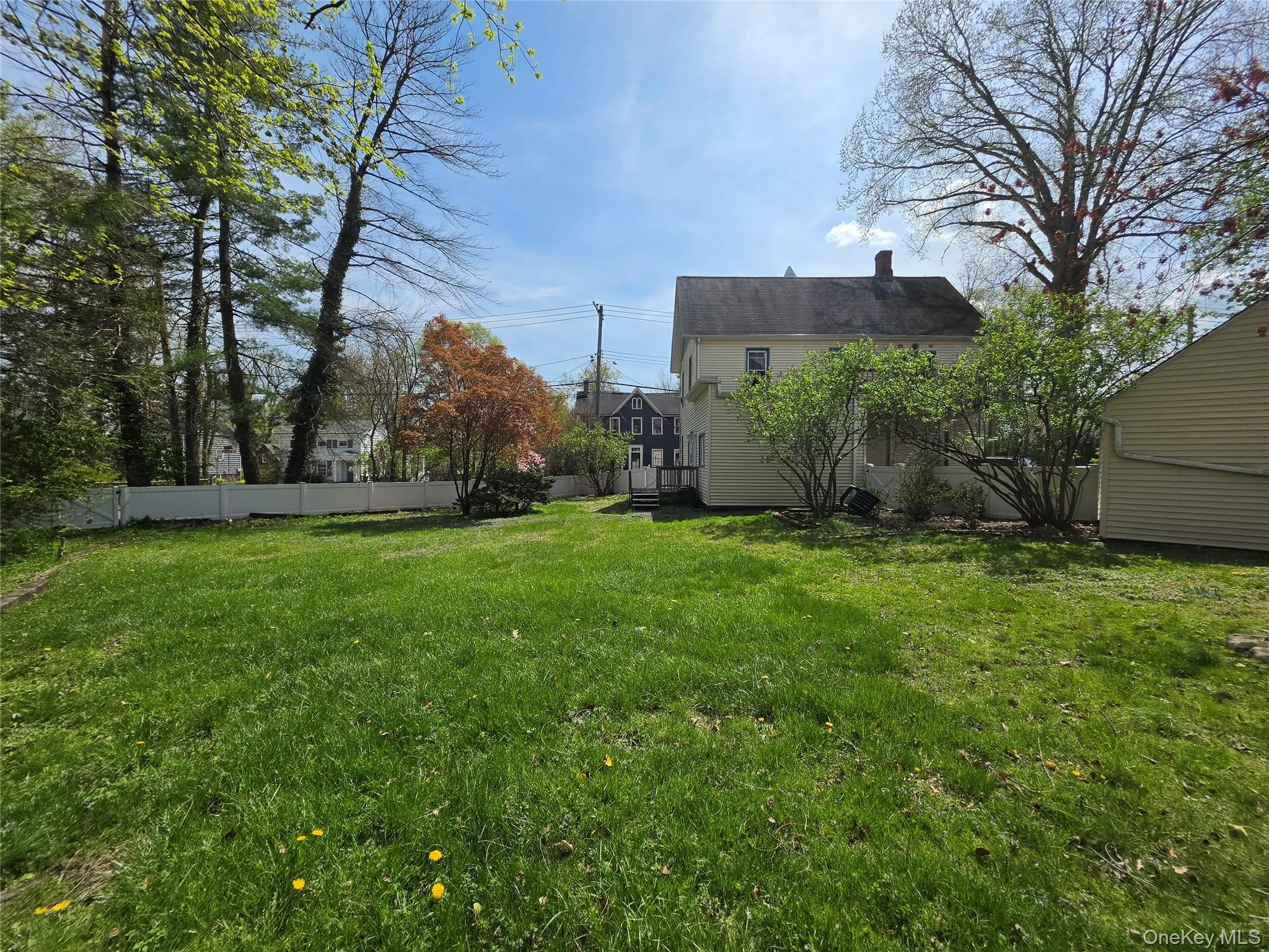 Huge backyard Huge backyard