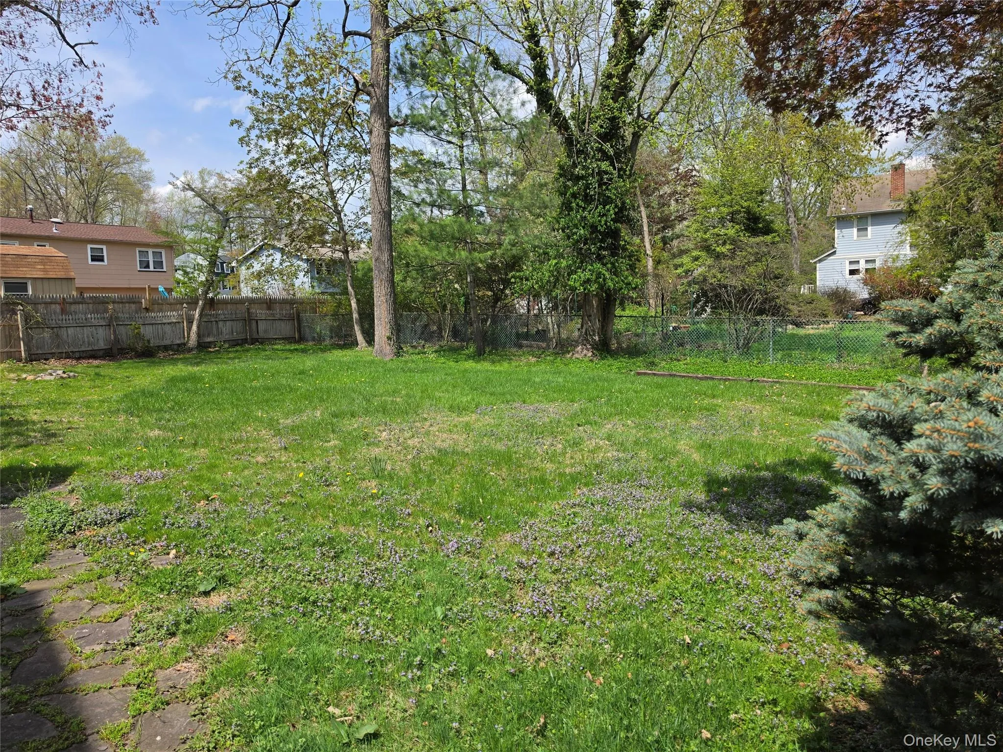 Huge backyard Huge backyard