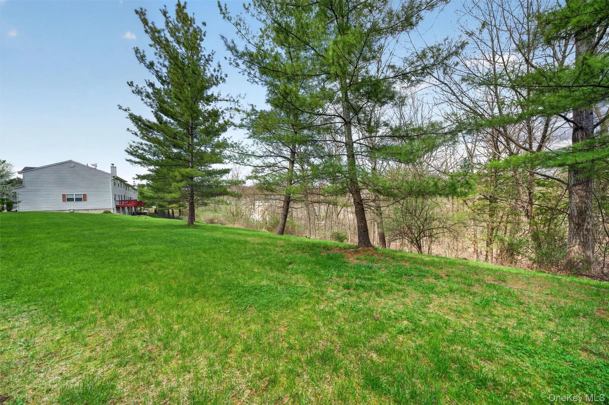 28 Lois Lane, Monroe, NY, 3 Bedrooms Bedrooms, 6 Rooms Rooms,2 BathroomsBathrooms,Residential,For Rent,Lois,0,985005 28 Lois Lane, Monroe, NY, 3 Bedrooms Bedrooms, 6 Rooms Rooms,2 BathroomsBathrooms,Residential,For Rent,Lois,0,985005