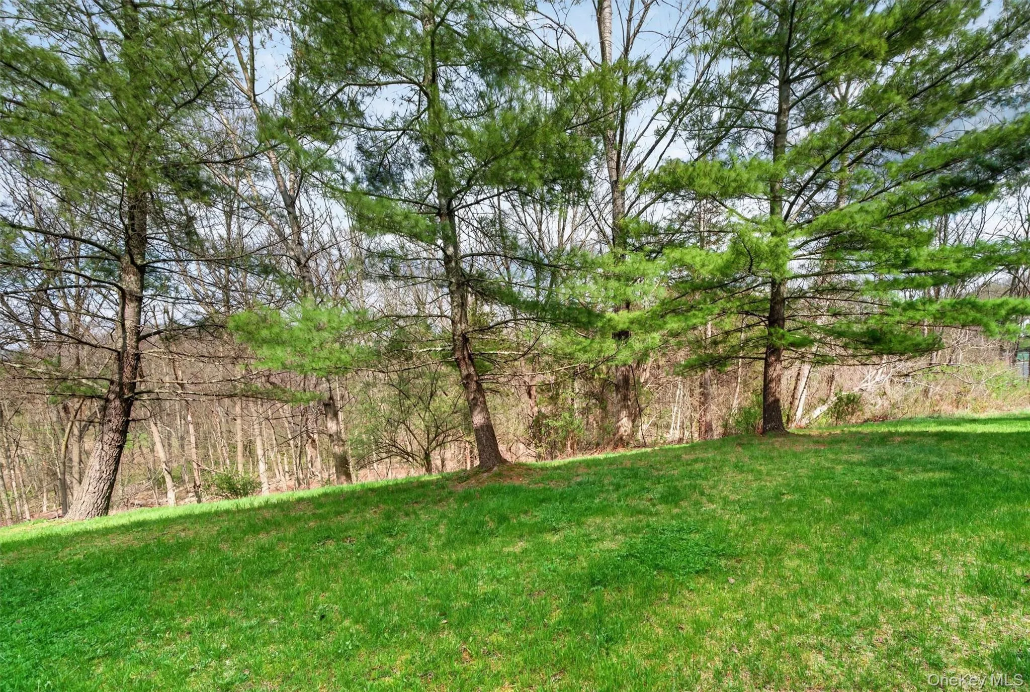 28 Lois Lane, Monroe, NY, 3 Bedrooms Bedrooms, 6 Rooms Rooms,2 BathroomsBathrooms,Residential,For Rent,Lois,0,985005 28 Lois Lane, Monroe, NY, 3 Bedrooms Bedrooms, 6 Rooms Rooms,2 BathroomsBathrooms,Residential,For Rent,Lois,0,985005