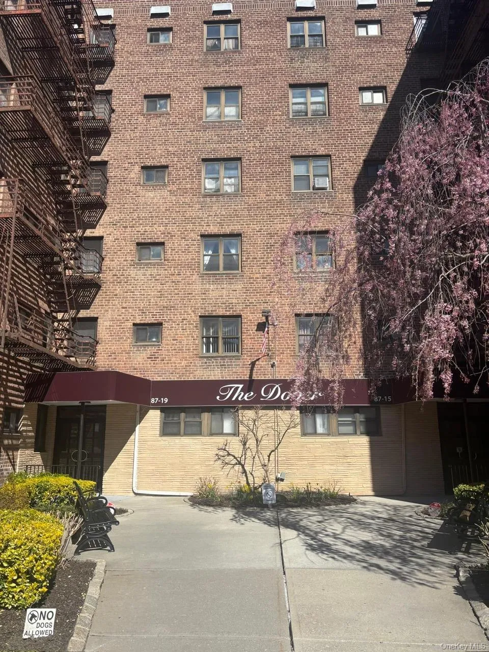 87-19 204th Street, New York, NY, 2 Bedrooms Bedrooms, 3 Rooms Rooms,1 BathroomBathrooms,Residential,For Rent,204th,0,KEY985040 87-19 204th Street, New York, NY, 2 Bedrooms Bedrooms, 3 Rooms Rooms,1 BathroomBathrooms,Residential,For Rent,204th,0,KEY985040