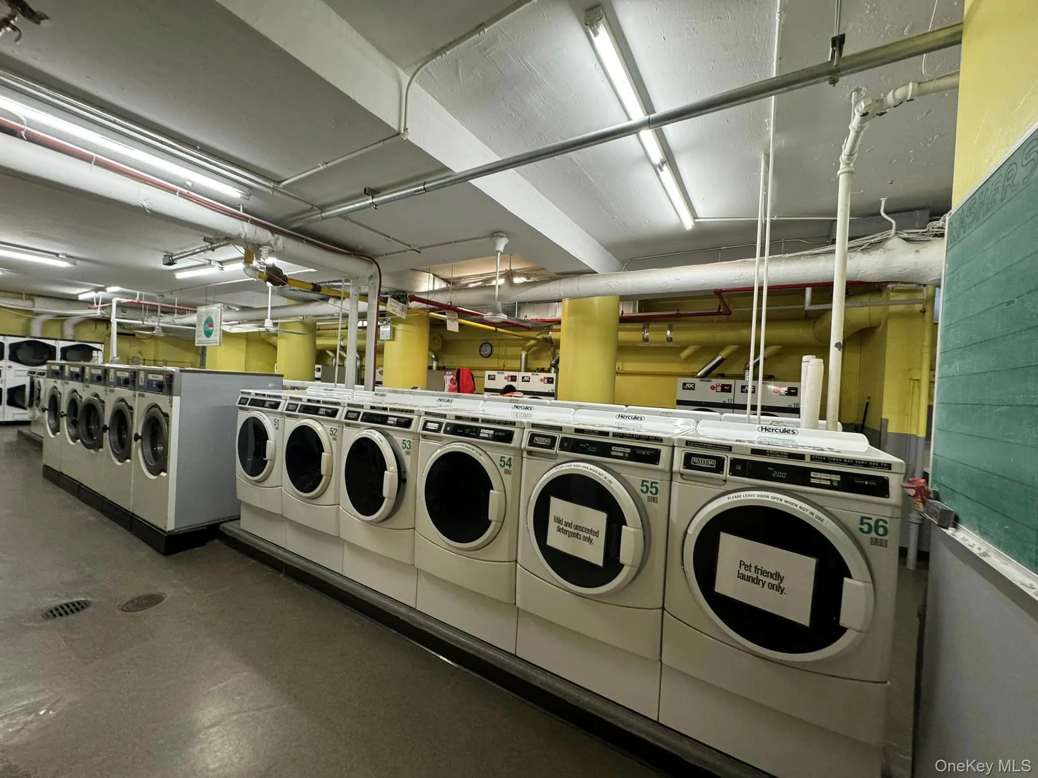 Shared laundry featuring washer and dryer Shared laundry featuring washer and dryer