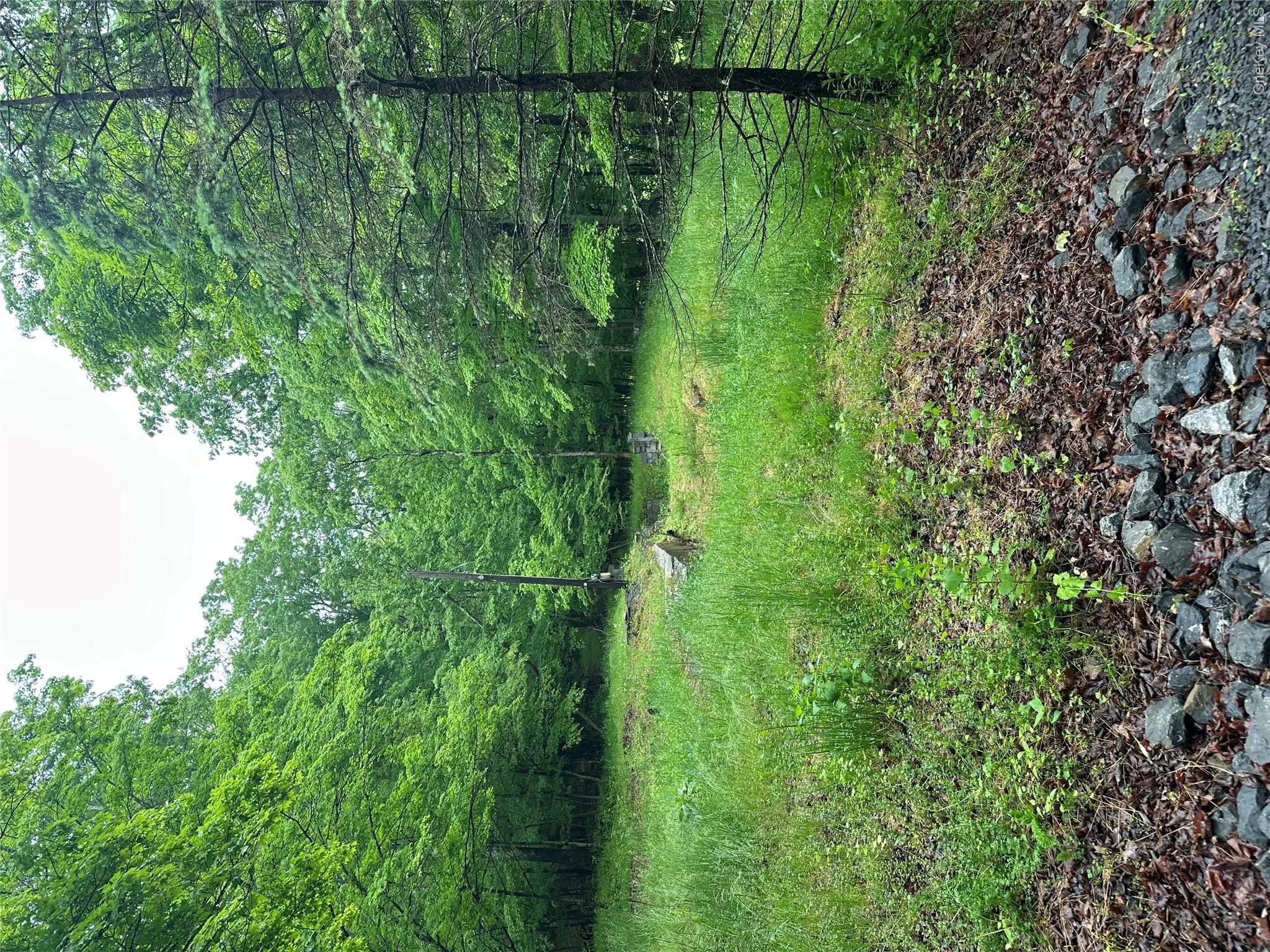 804 Hearts Content Road, Cairo, NY, ,Land,For Rent,Hearts Content,0,985262 804 Hearts Content Road, Cairo, NY, ,Land,For Rent,Hearts Content,0,985262