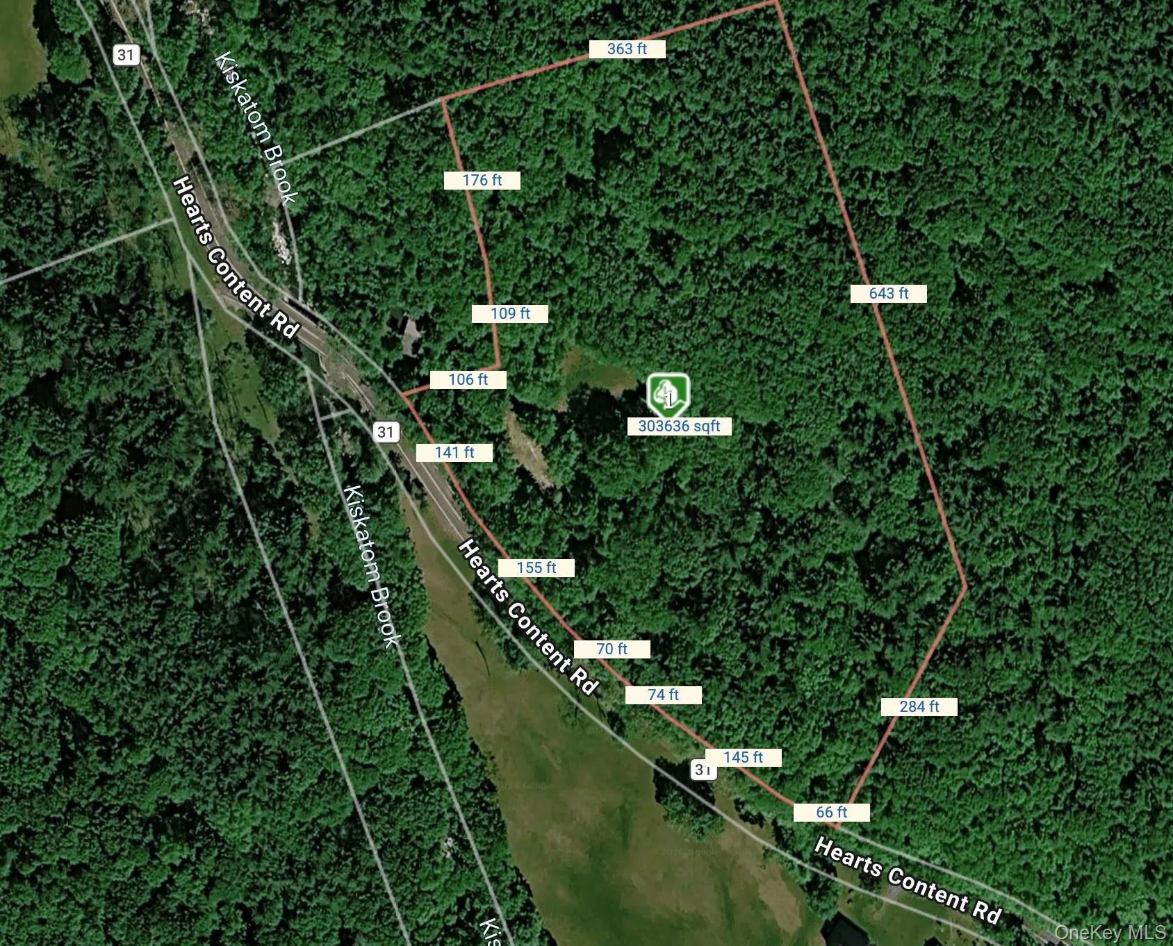804 Hearts Content Road, Cairo, NY, ,Land,For Rent,Hearts Content,0,985262 804 Hearts Content Road, Cairo, NY, ,Land,For Rent,Hearts Content,0,985262