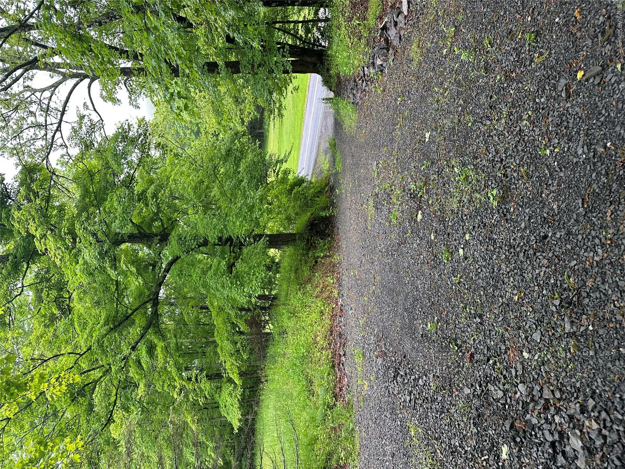 804 Hearts Content Road, Cairo, NY, ,Land,For Rent,Hearts Content,0,985262 804 Hearts Content Road, Cairo, NY, ,Land,For Rent,Hearts Content,0,985262