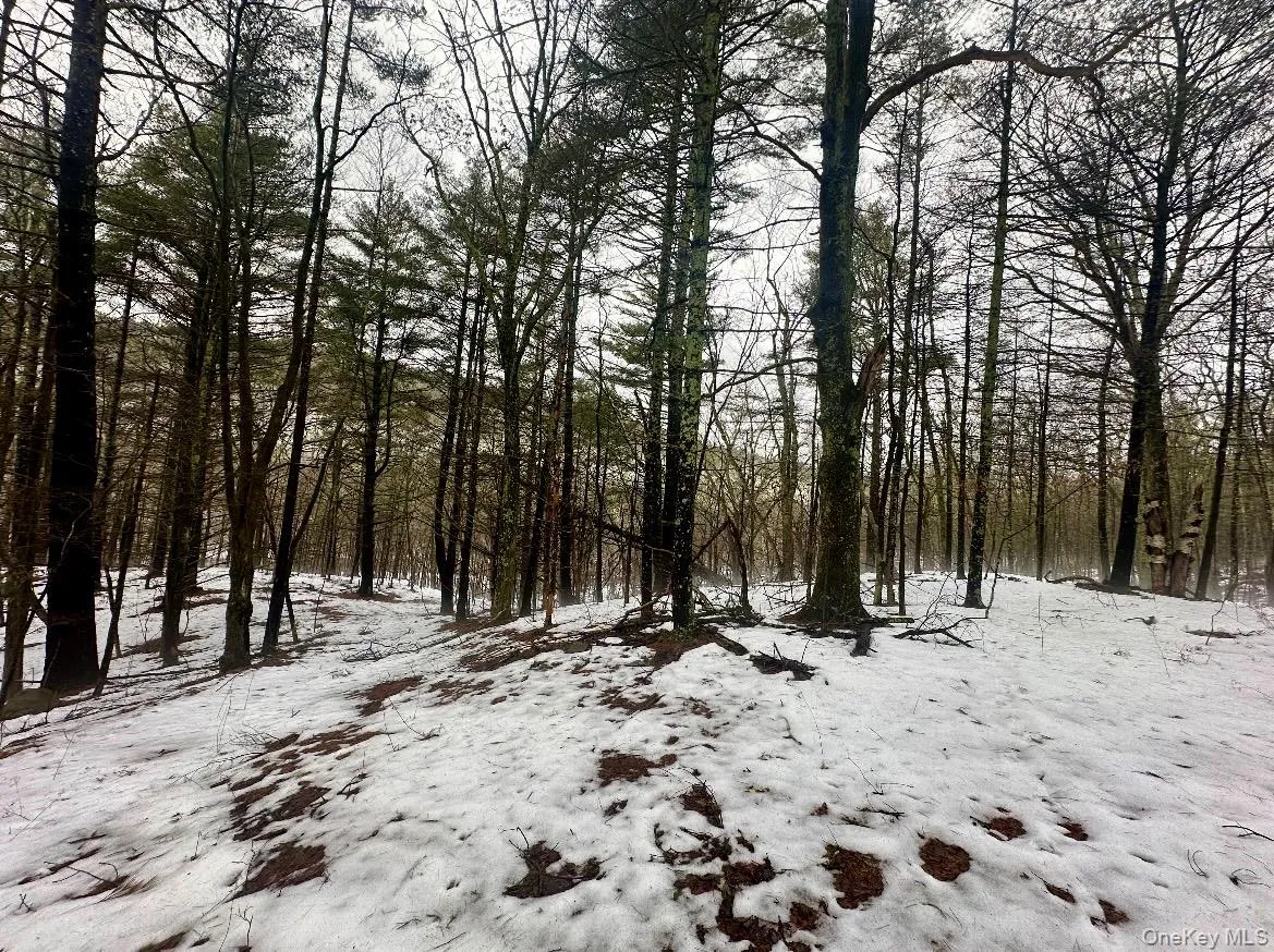 804 Hearts Content Road, Cairo, NY, ,Land,For Rent,Hearts Content,0,985262 804 Hearts Content Road, Cairo, NY, ,Land,For Rent,Hearts Content,0,985262