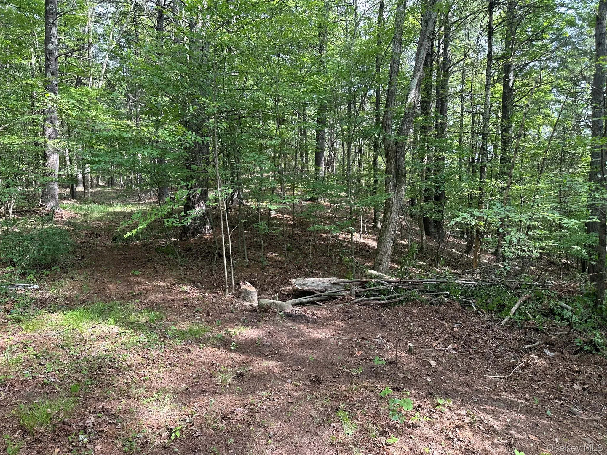 804 Hearts Content Road, Cairo, NY, ,Land,For Rent,Hearts Content,0,985262 804 Hearts Content Road, Cairo, NY, ,Land,For Rent,Hearts Content,0,985262