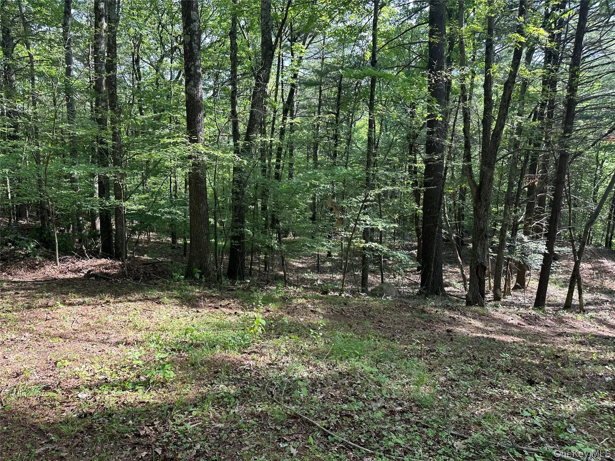 804 Hearts Content Road, Cairo, NY, ,Land,For Rent,Hearts Content,0,985262 804 Hearts Content Road, Cairo, NY, ,Land,For Rent,Hearts Content,0,985262