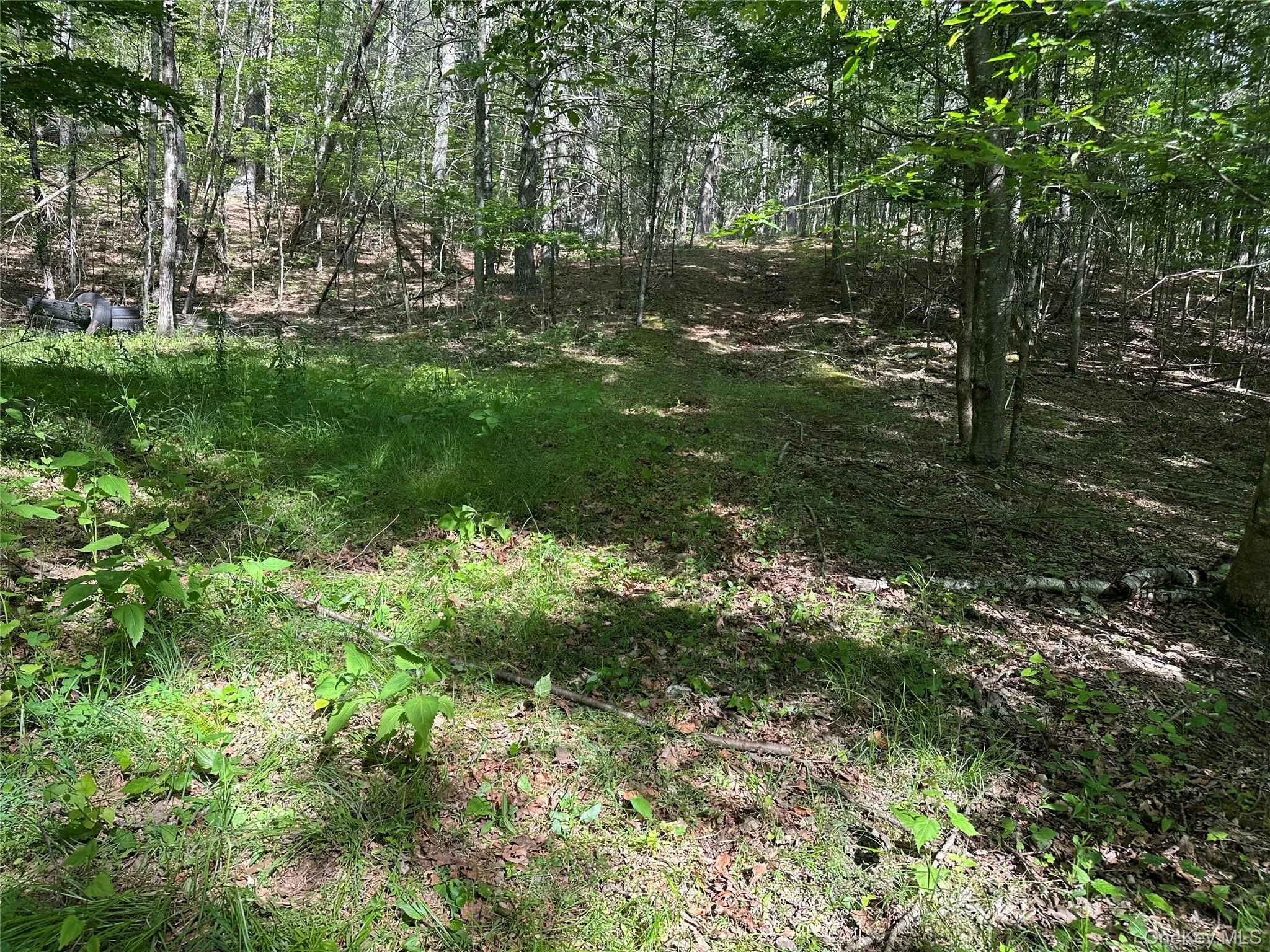 804 Hearts Content Road, Cairo, NY, ,Land,For Rent,Hearts Content,0,985262 804 Hearts Content Road, Cairo, NY, ,Land,For Rent,Hearts Content,0,985262