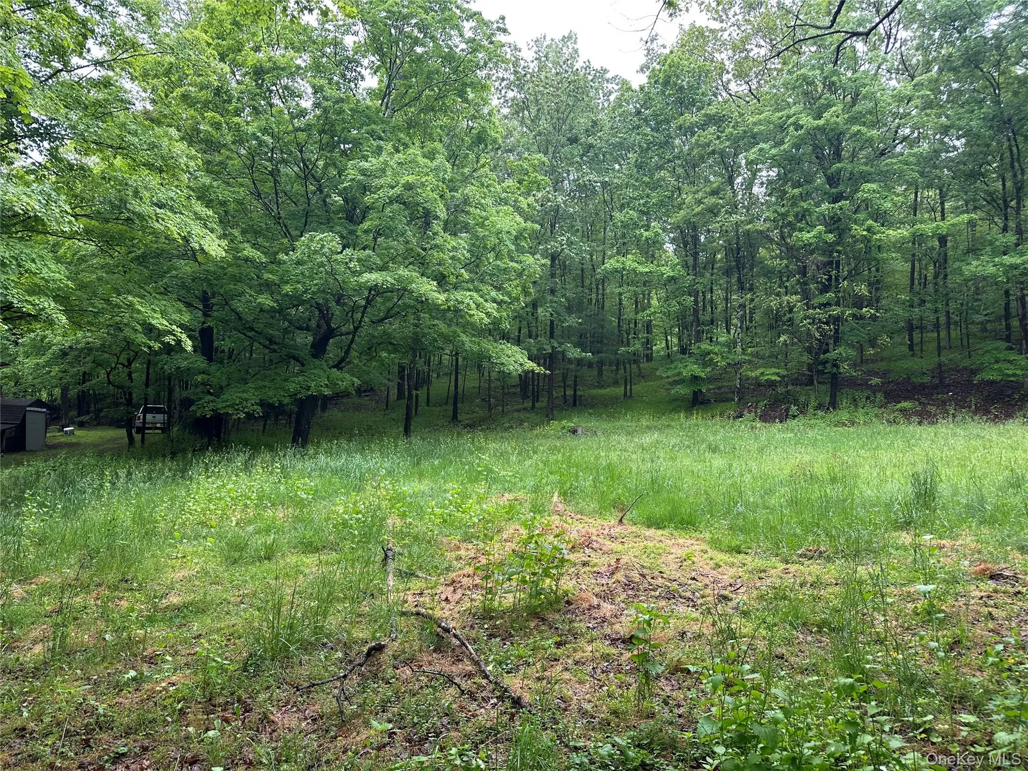 804 Hearts Content Road, Cairo, NY, ,Land,For Rent,Hearts Content,0,985262 804 Hearts Content Road, Cairo, NY, ,Land,For Rent,Hearts Content,0,985262