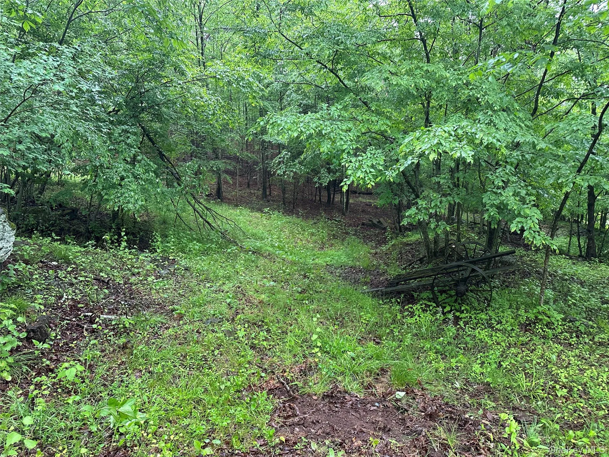 804 Hearts Content Road, Cairo, NY, ,Land,For Rent,Hearts Content,0,985262 804 Hearts Content Road, Cairo, NY, ,Land,For Rent,Hearts Content,0,985262