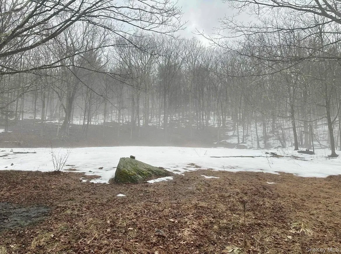 804 Hearts Content Road, Cairo, NY, ,Land,For Rent,Hearts Content,0,985262 804 Hearts Content Road, Cairo, NY, ,Land,For Rent,Hearts Content,0,985262