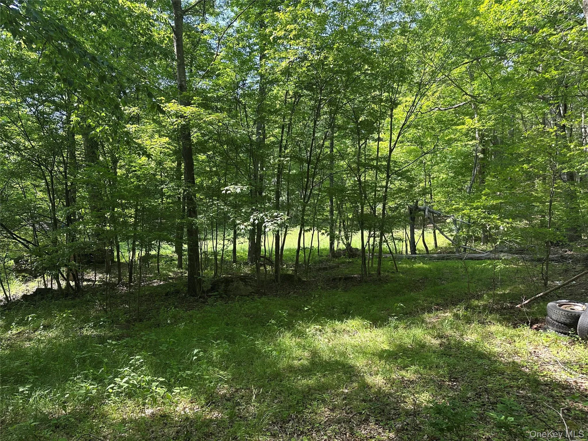 804 Hearts Content Road, Cairo, NY, ,Land,For Rent,Hearts Content,0,985262 804 Hearts Content Road, Cairo, NY, ,Land,For Rent,Hearts Content,0,985262