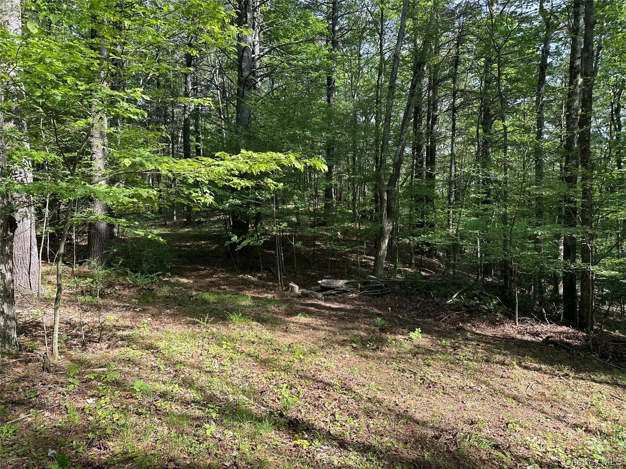 804 Hearts Content Road, Cairo, NY, ,Land,For Rent,Hearts Content,0,985262 804 Hearts Content Road, Cairo, NY, ,Land,For Rent,Hearts Content,0,985262