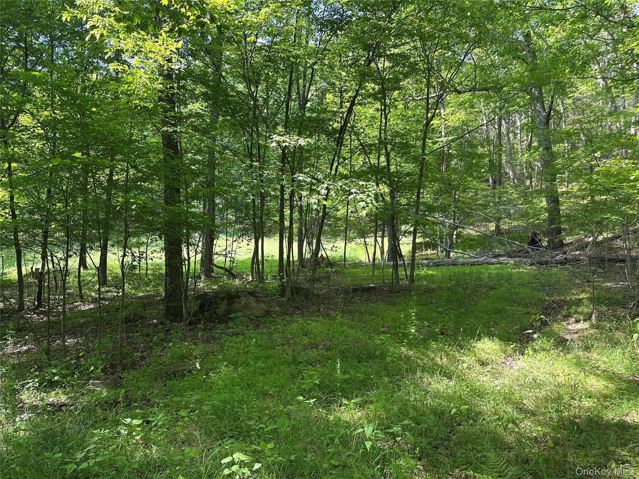 804 Hearts Content Road, Cairo, NY, ,Land,For Rent,Hearts Content,0,985262 804 Hearts Content Road, Cairo, NY, ,Land,For Rent,Hearts Content,0,985262