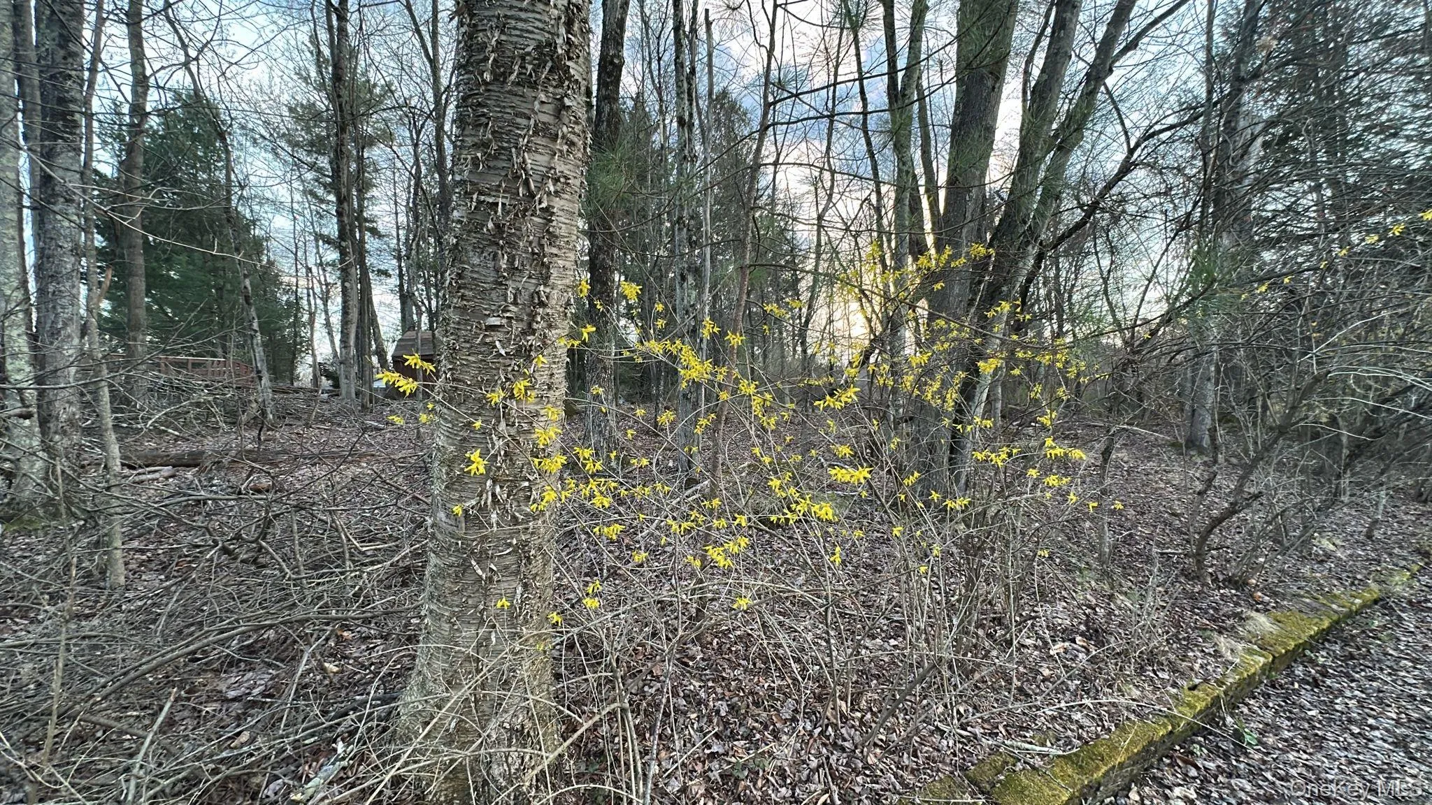 TBD Diane Boulevard, Fallsburg, NY, ,Land,For Rent,Diane,0,985330 TBD Diane Boulevard, Fallsburg, NY, ,Land,For Rent,Diane,0,985330