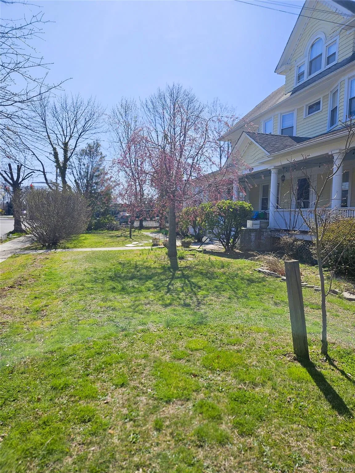 front yard front yard